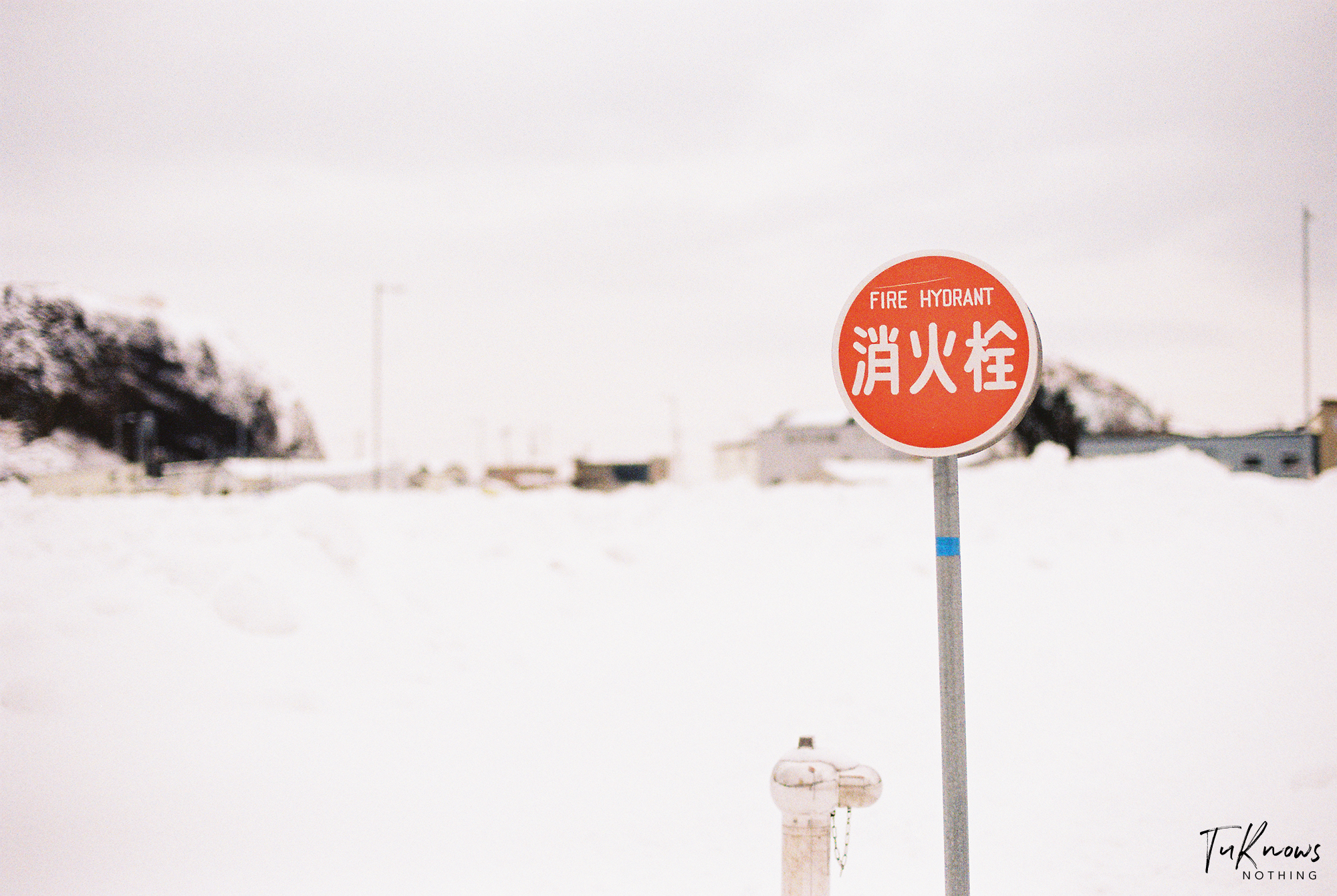 北海道自助遊攻略