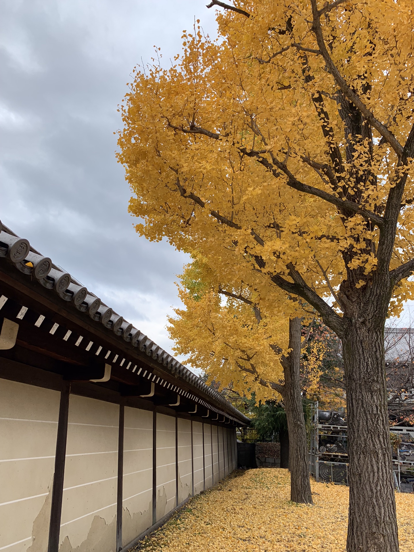 京都自助遊攻略