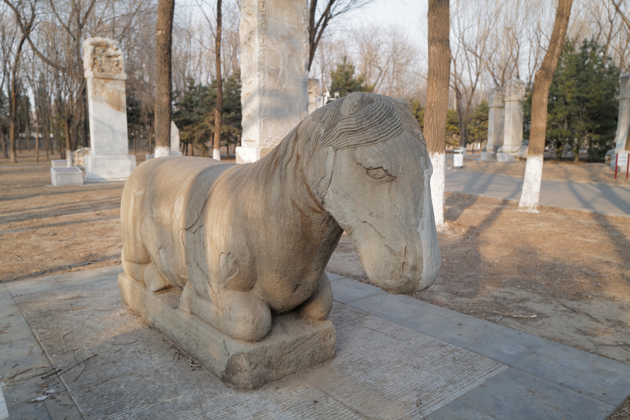 会说话的石头螭首龟趺