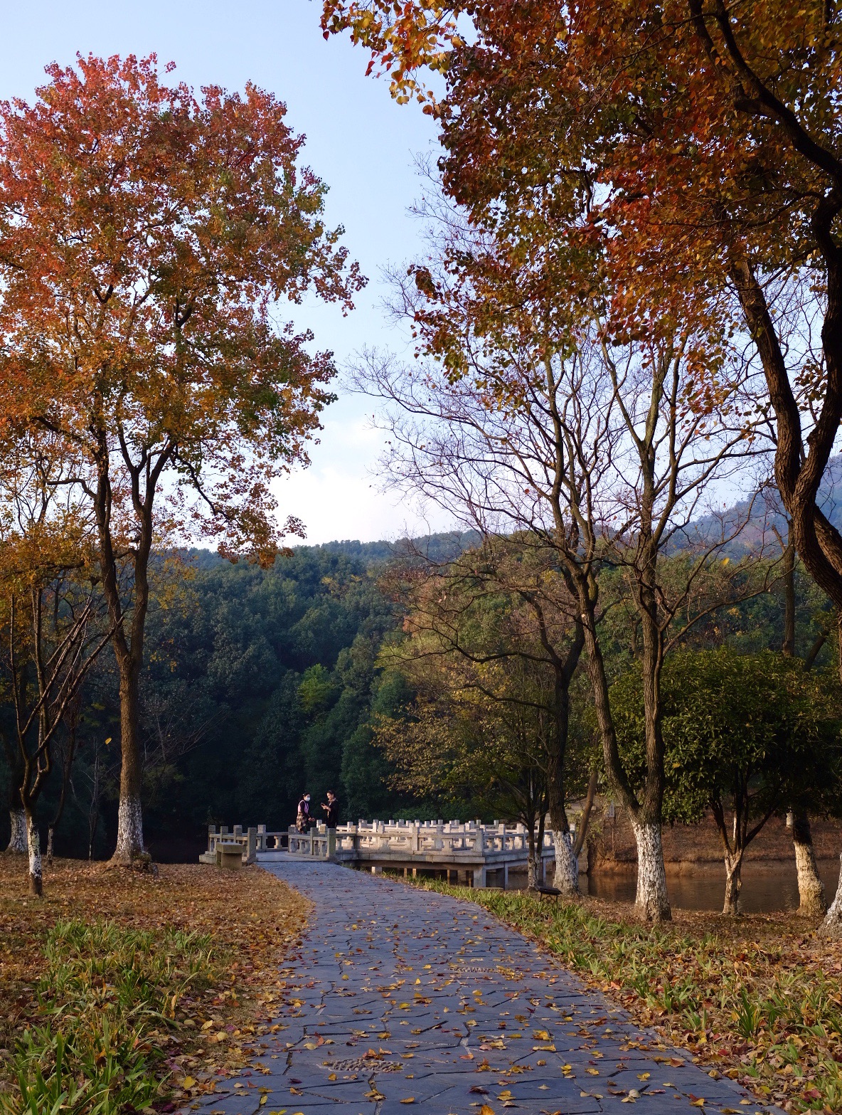 品味苏州 | 香山枫景