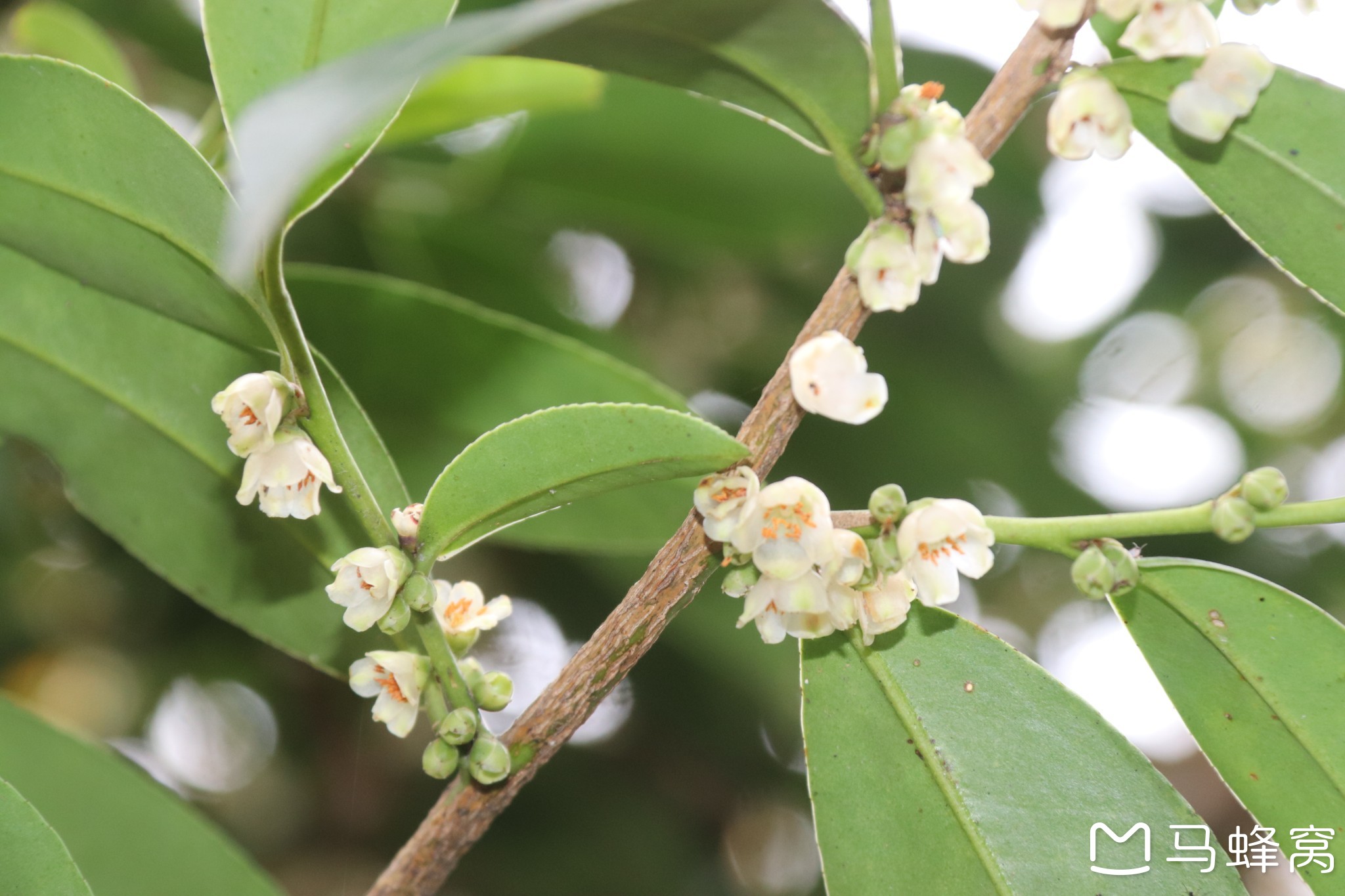 徒步新昌天姥山,班竹景区,新昌旅游攻略 - 马蜂窝