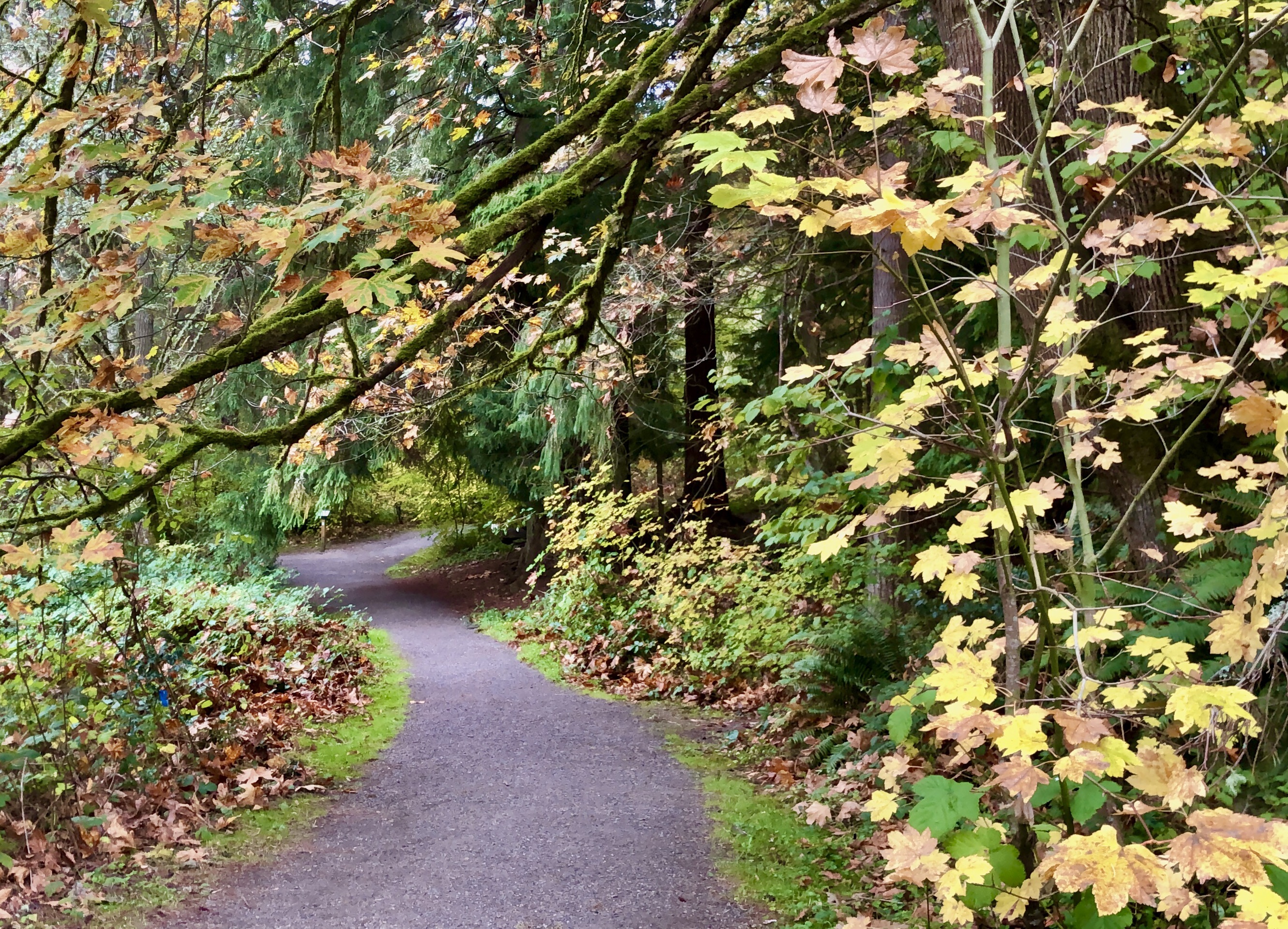 Evans Creek Preserve