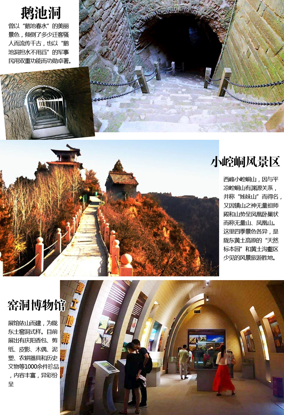 庆阳5天4晚跟团游(周祖陵/药王洞/黑河大峡谷/千年庆州古城/子午岭/秦