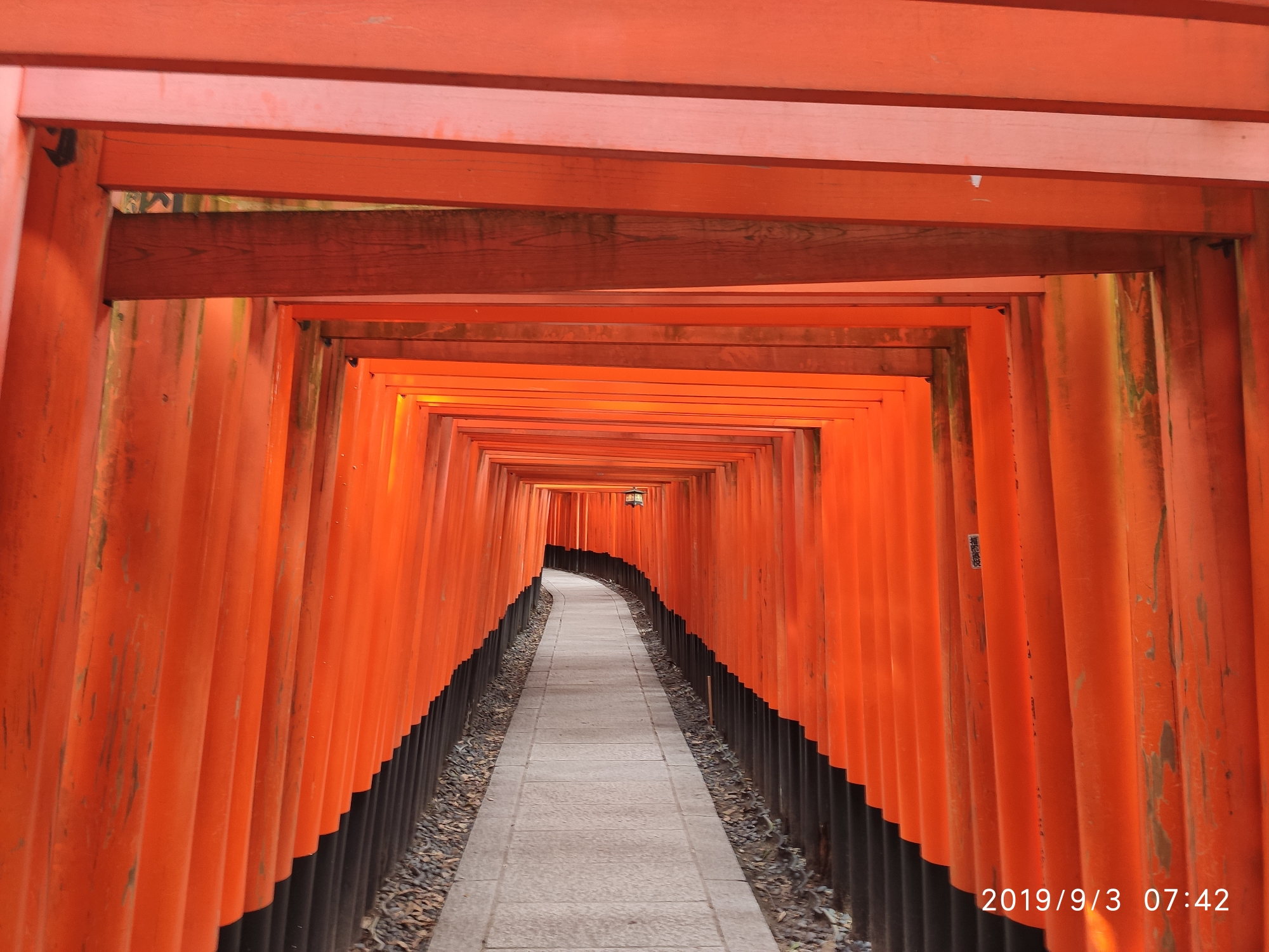 京都自助遊攻略