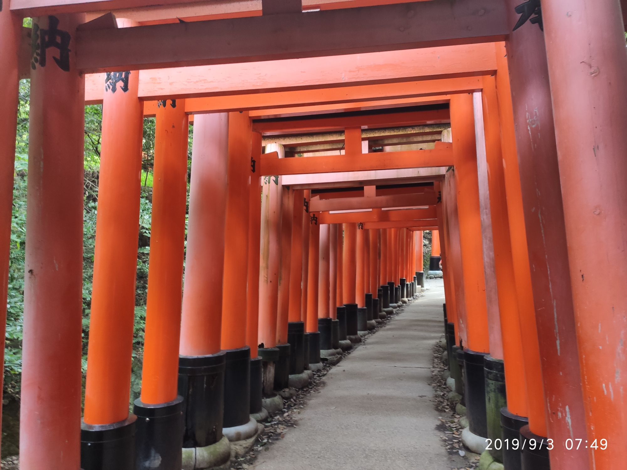 京都自助遊攻略