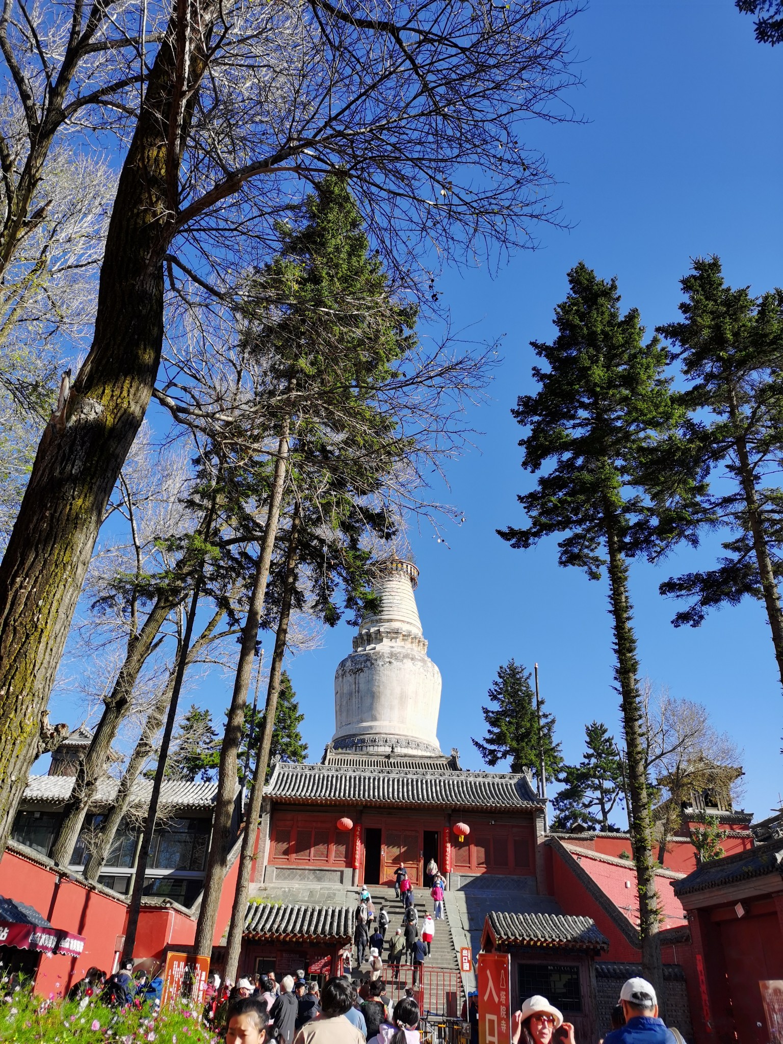 2020五台山大朝台——冥冥之中最好的遇见! - 马蜂窝