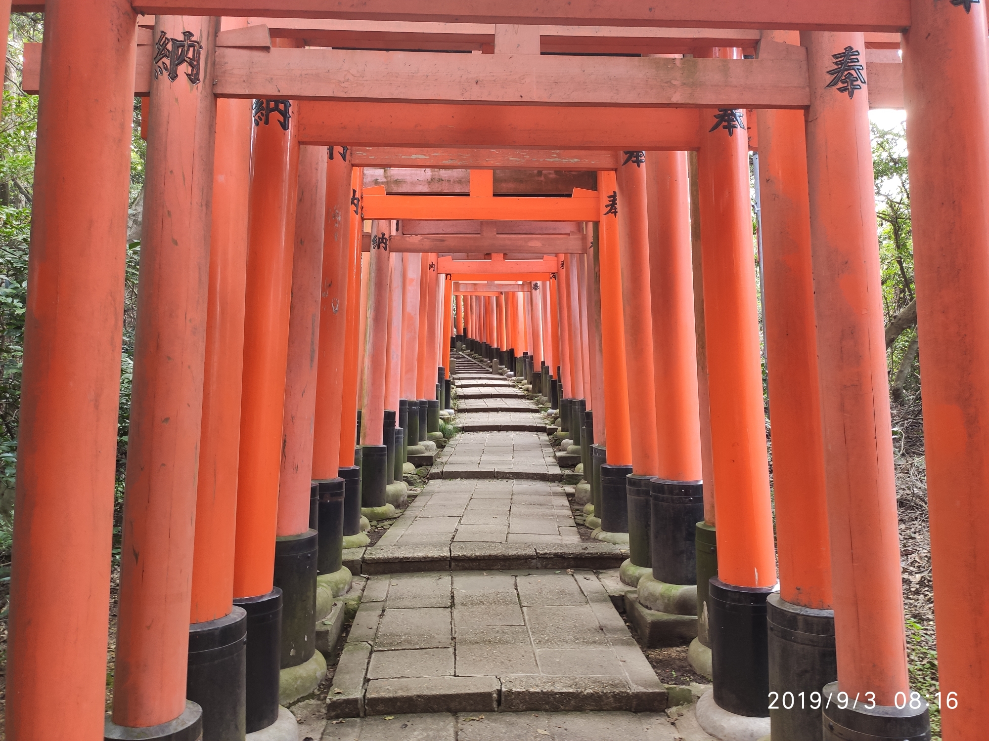 京都自助遊攻略