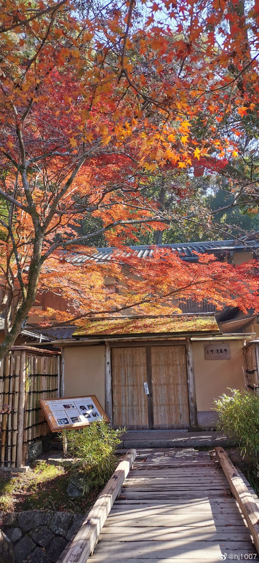 京都自助遊攻略