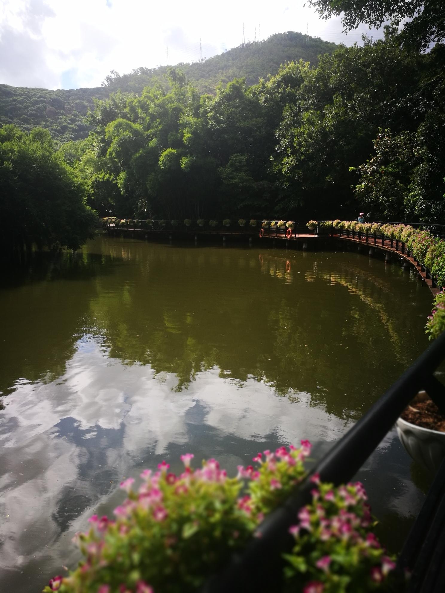 深圳月亮湾公园总用地28万余平方米