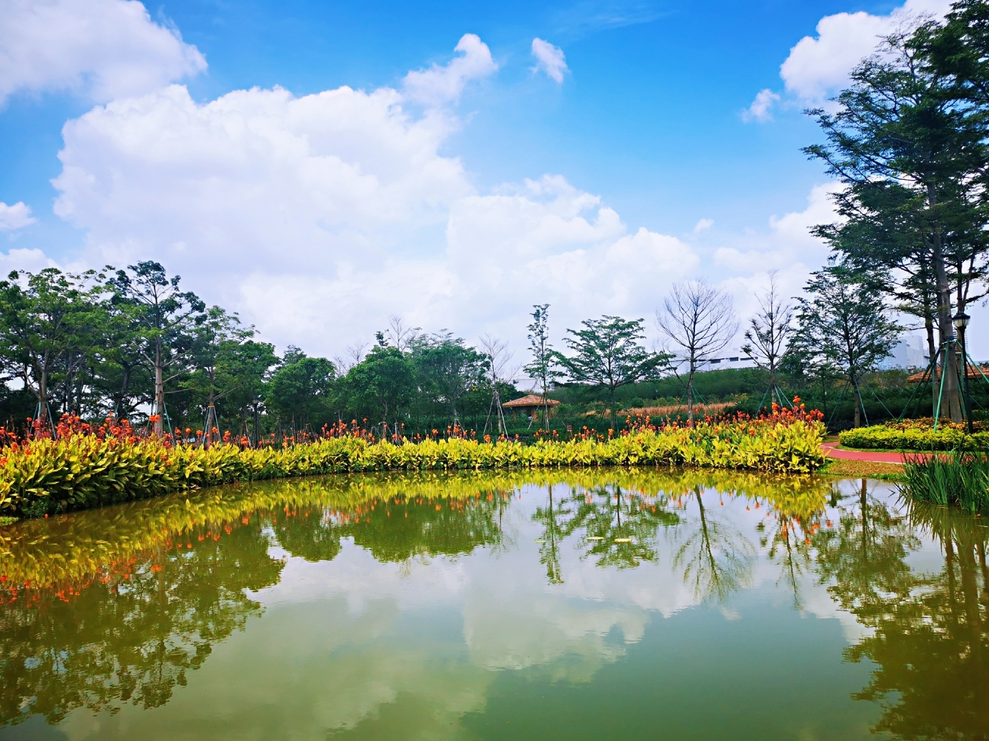 光明区鹅颈水湿地公园