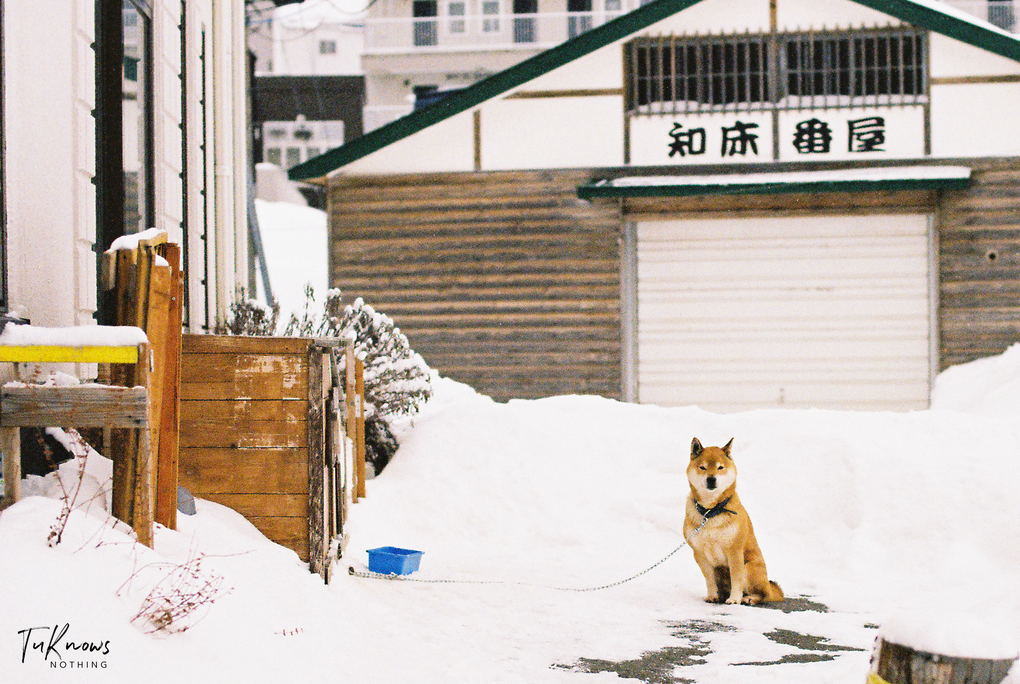 北海道自助遊攻略