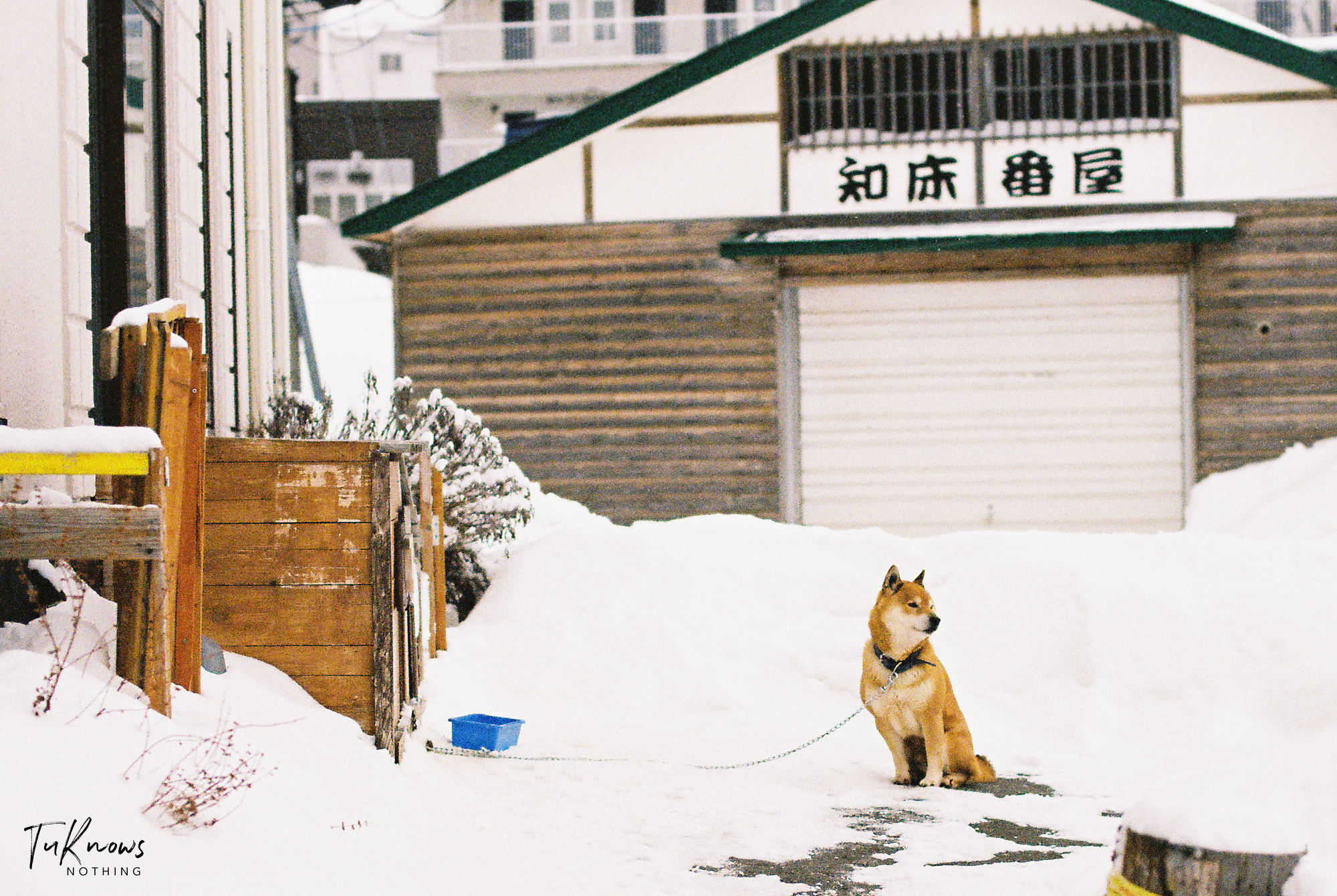 北海道自助遊攻略