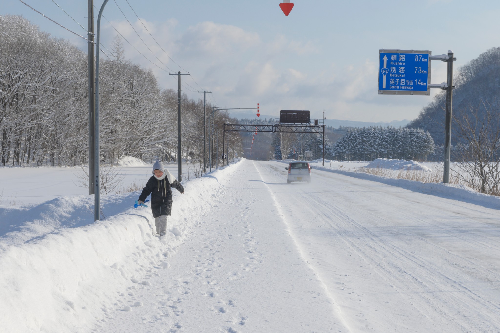 北海道自助遊攻略