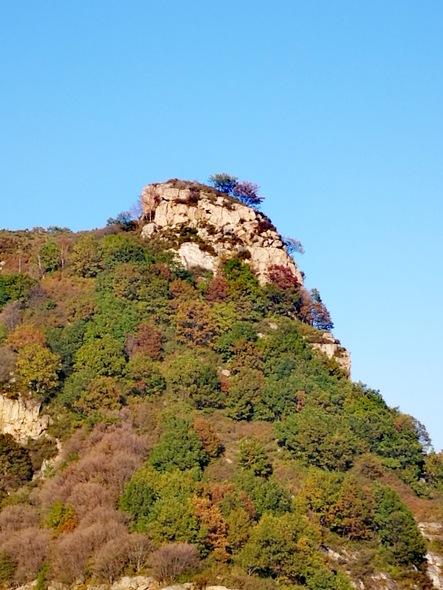 行走阜平歪头山