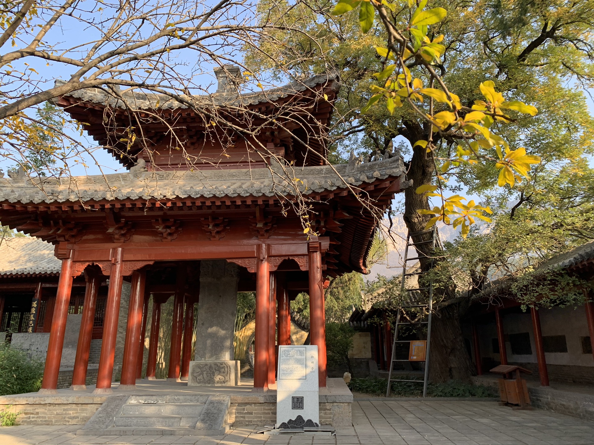 嵩山09:35 太室山广场(海拔620米)09:45 老母洞(海拔690米)10:20 观音