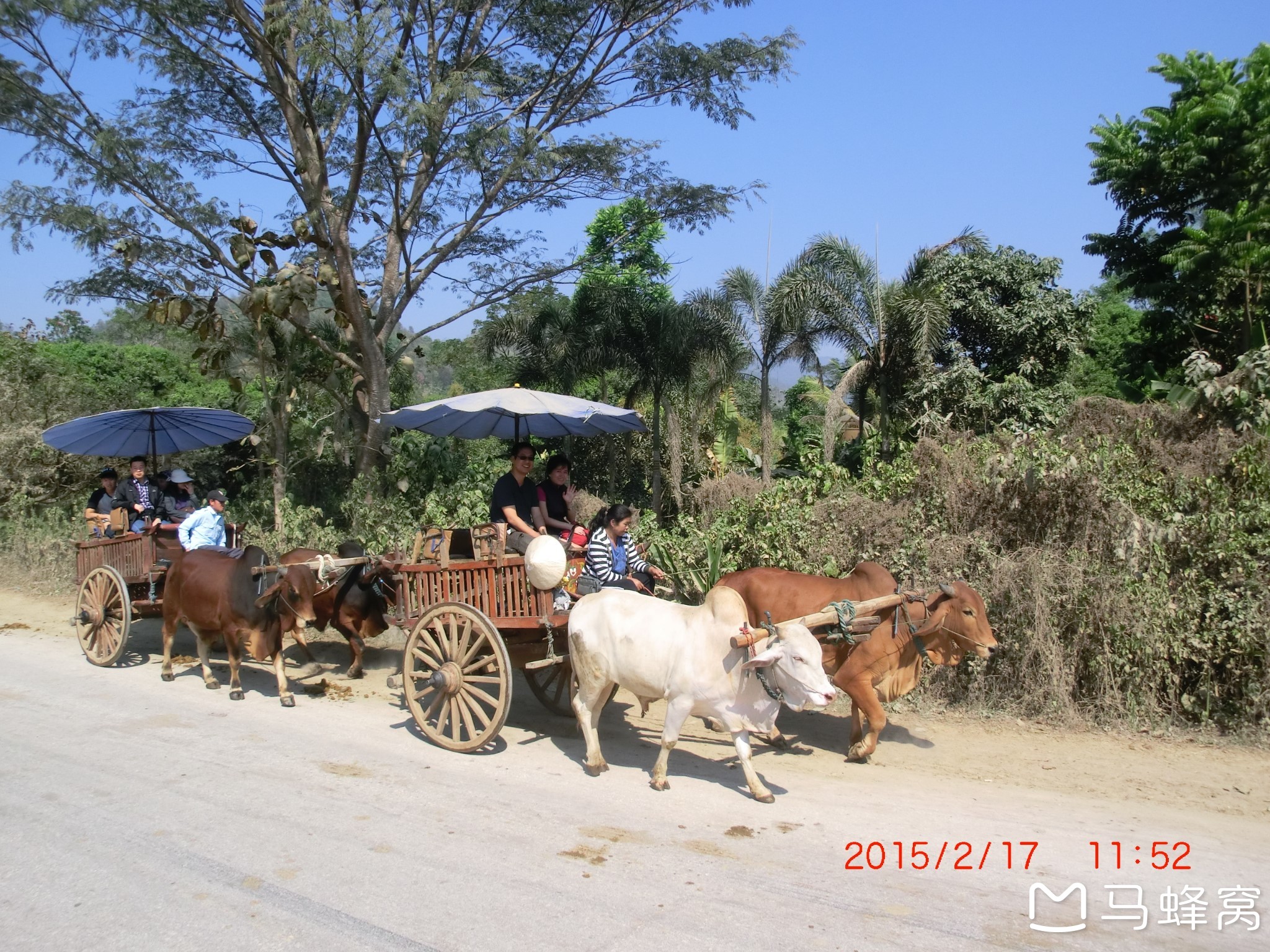 2015年2月17日—泰國—清邁一日遊—2—坐牛車