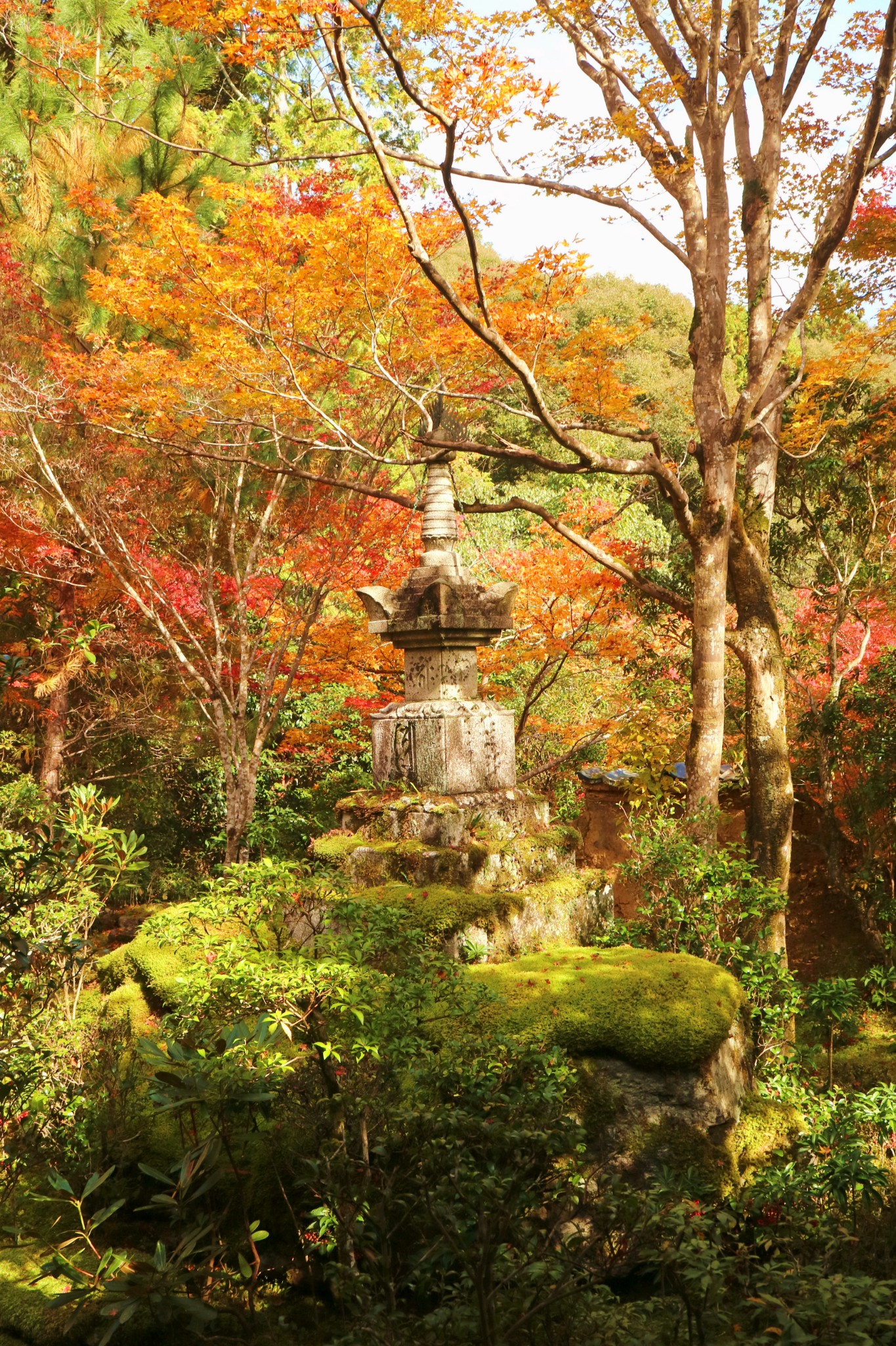 京都自助遊攻略