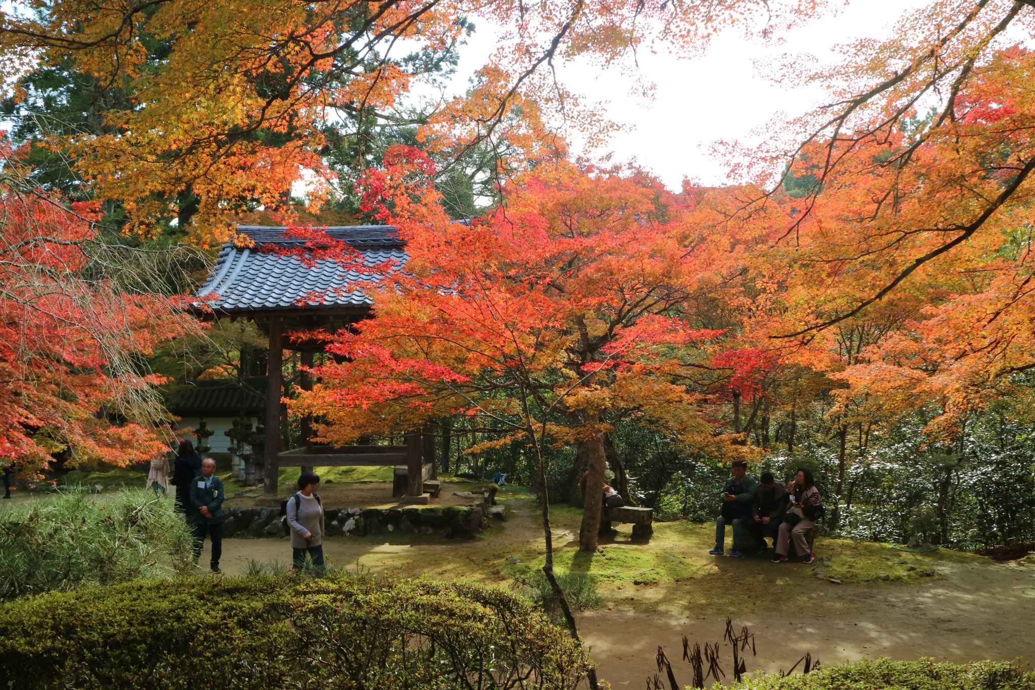 京都自助遊攻略