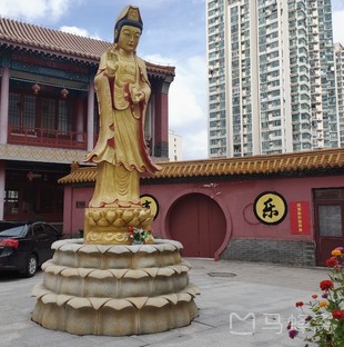 青岛观音寺旅游图片,青岛观音寺自助游图片,青岛观音寺旅游景点照片