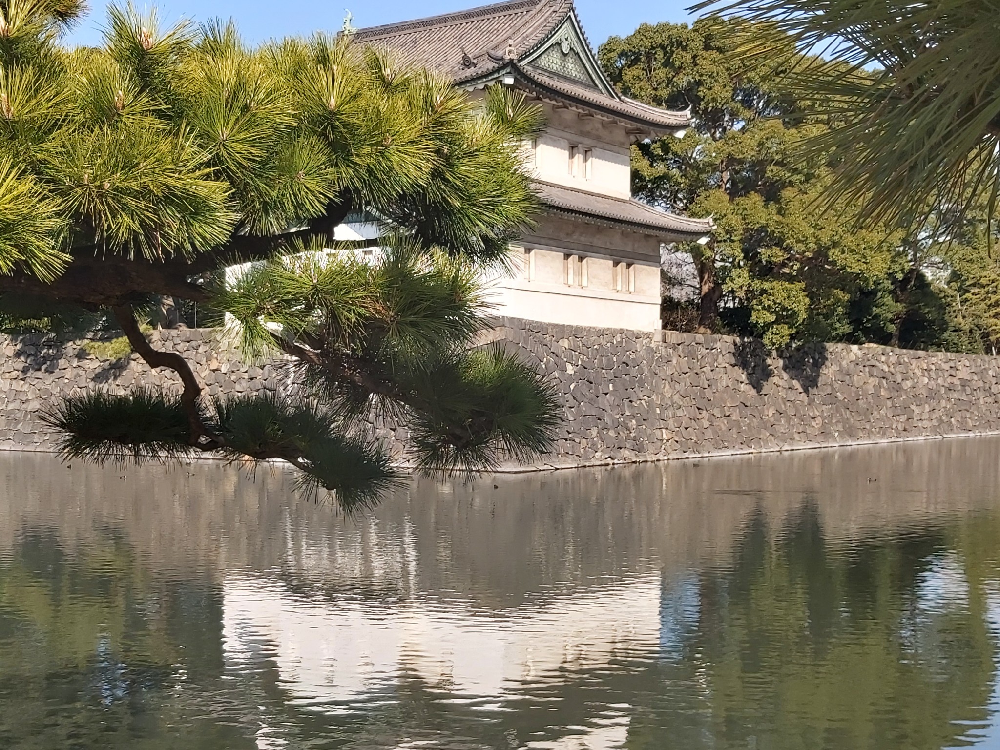 東京自助遊攻略