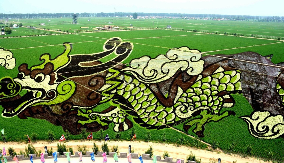 《神笔马亮》:辽宁沈阳"稻梦空间"