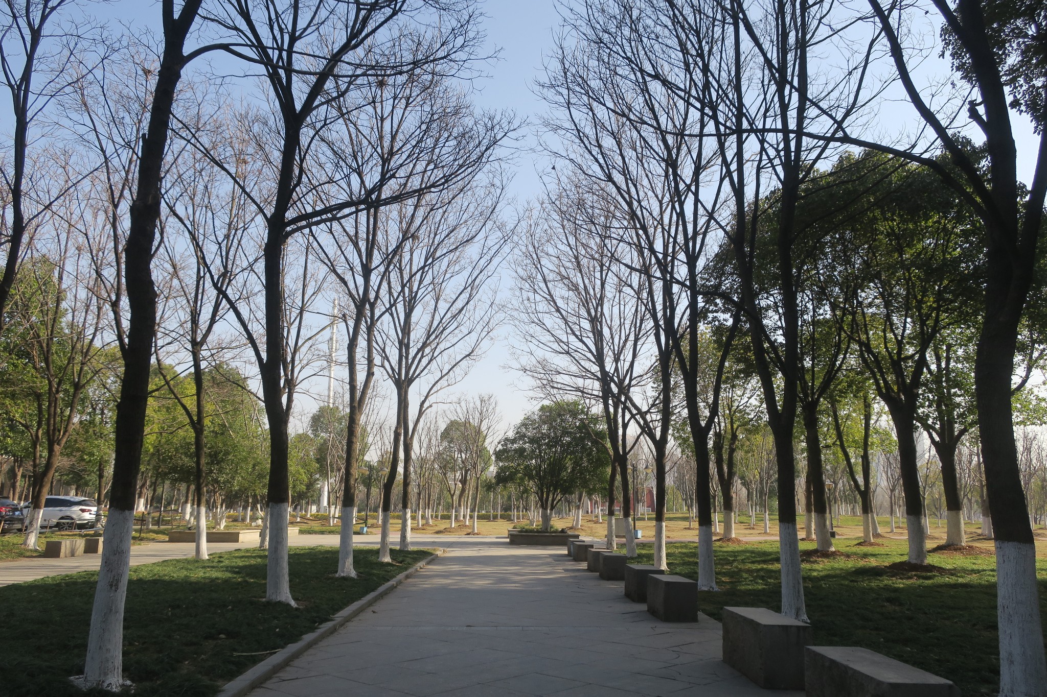 无阳光毋宁死武汉北太子湖公园