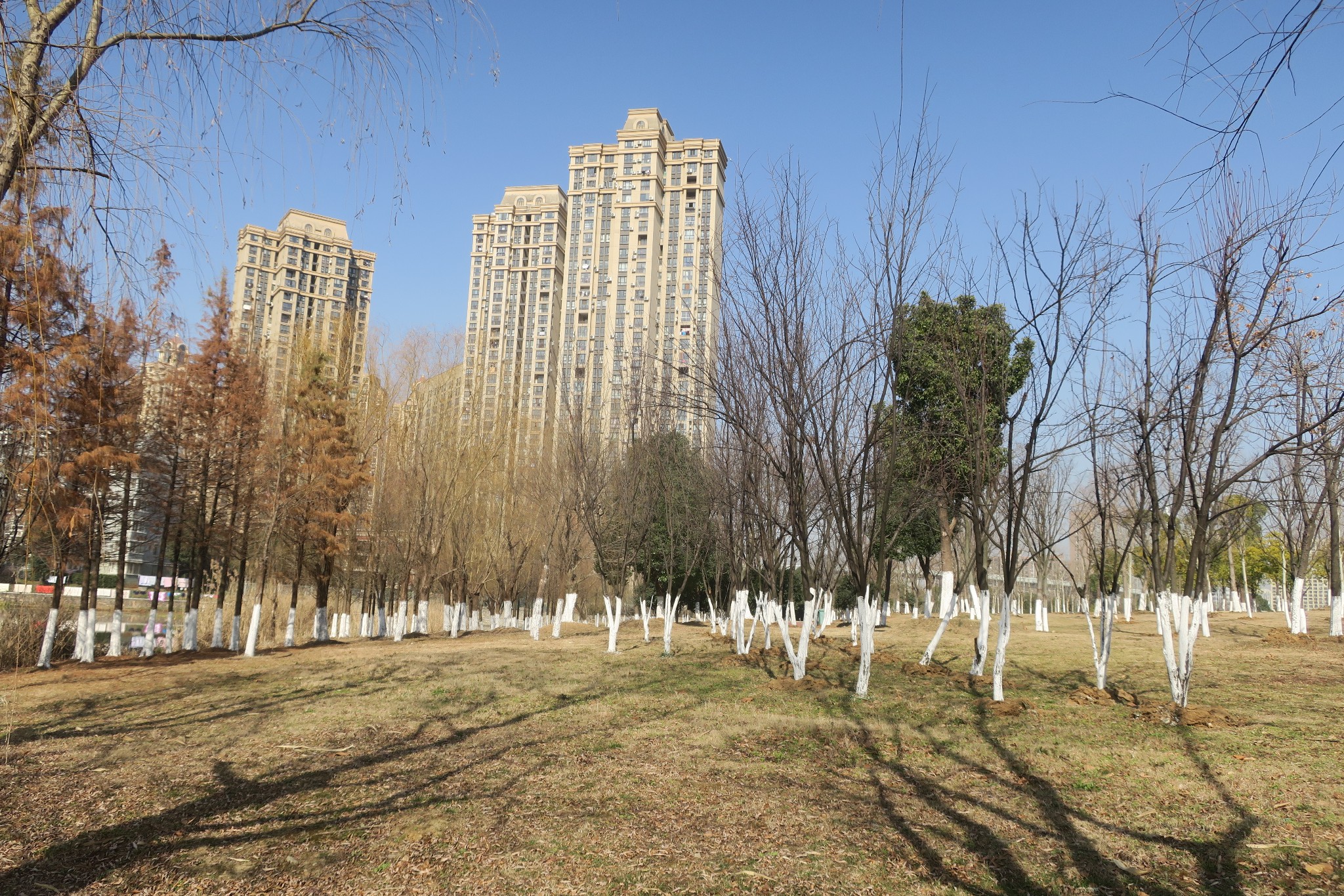 无阳光毋宁死武汉北太子湖公园