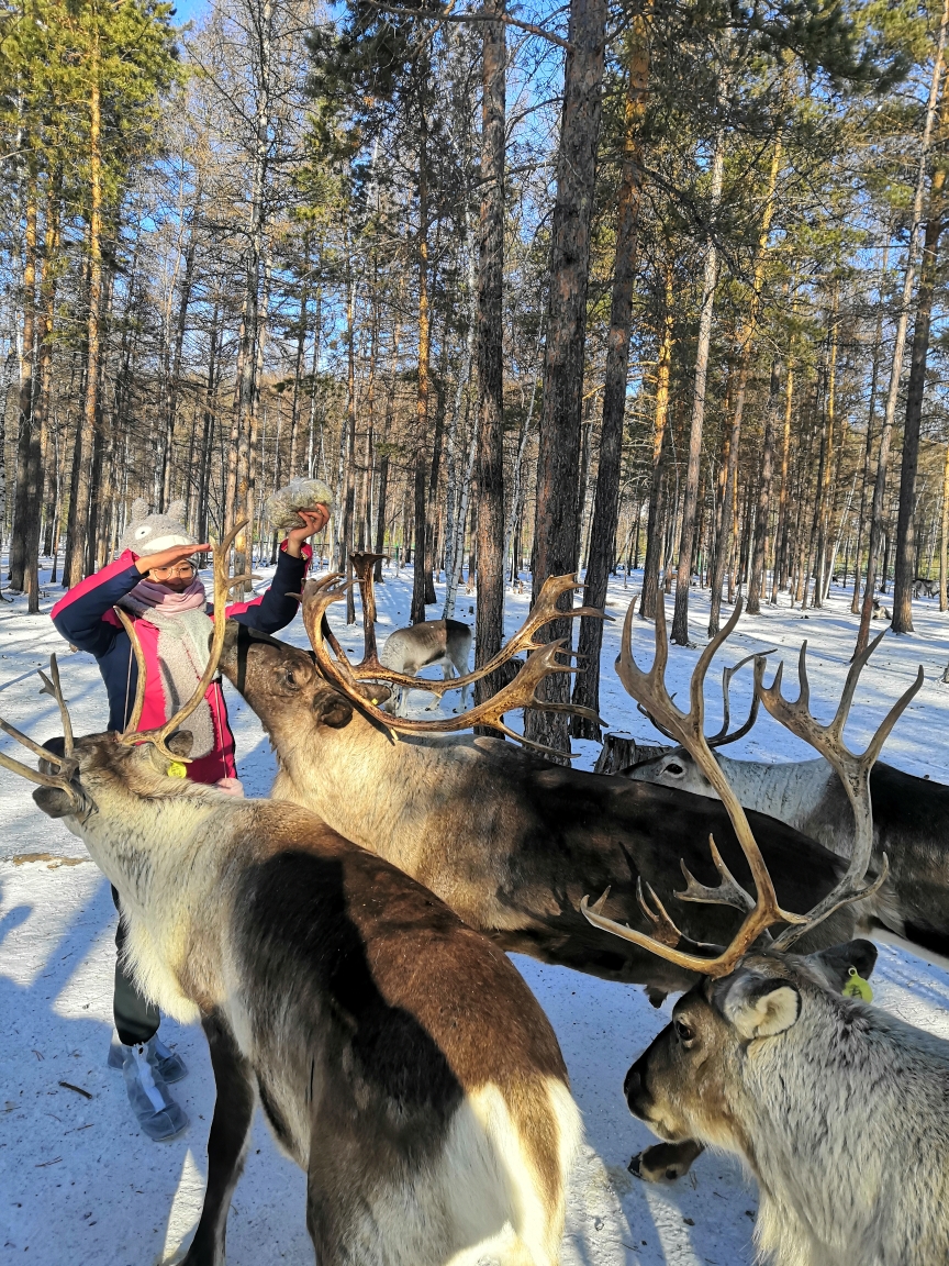 漠河,一路向北之最北,很冷,很开心!