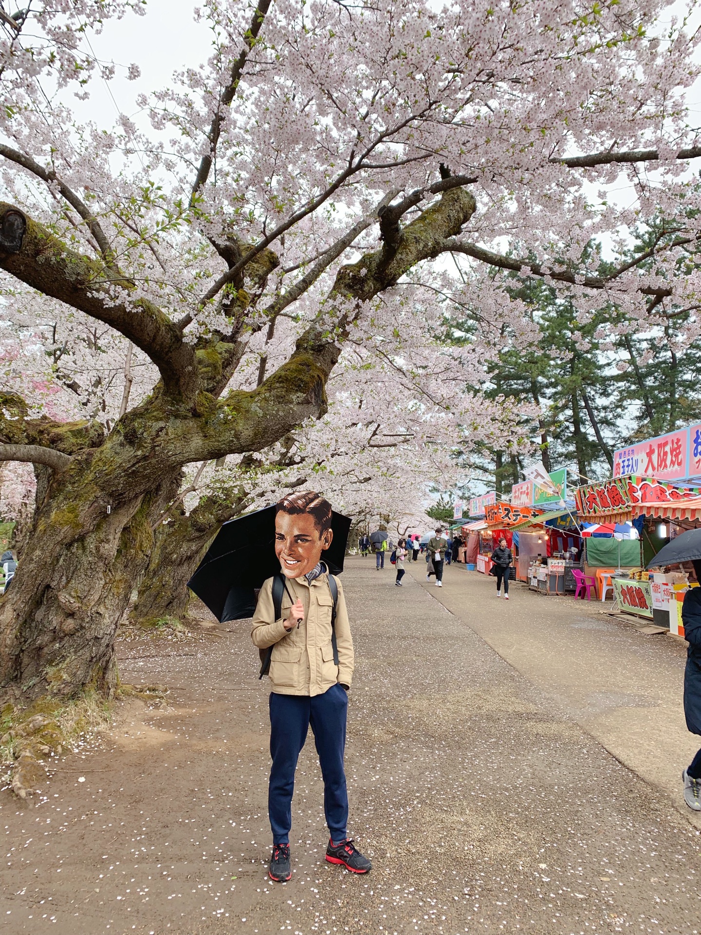 青森縣自助遊攻略