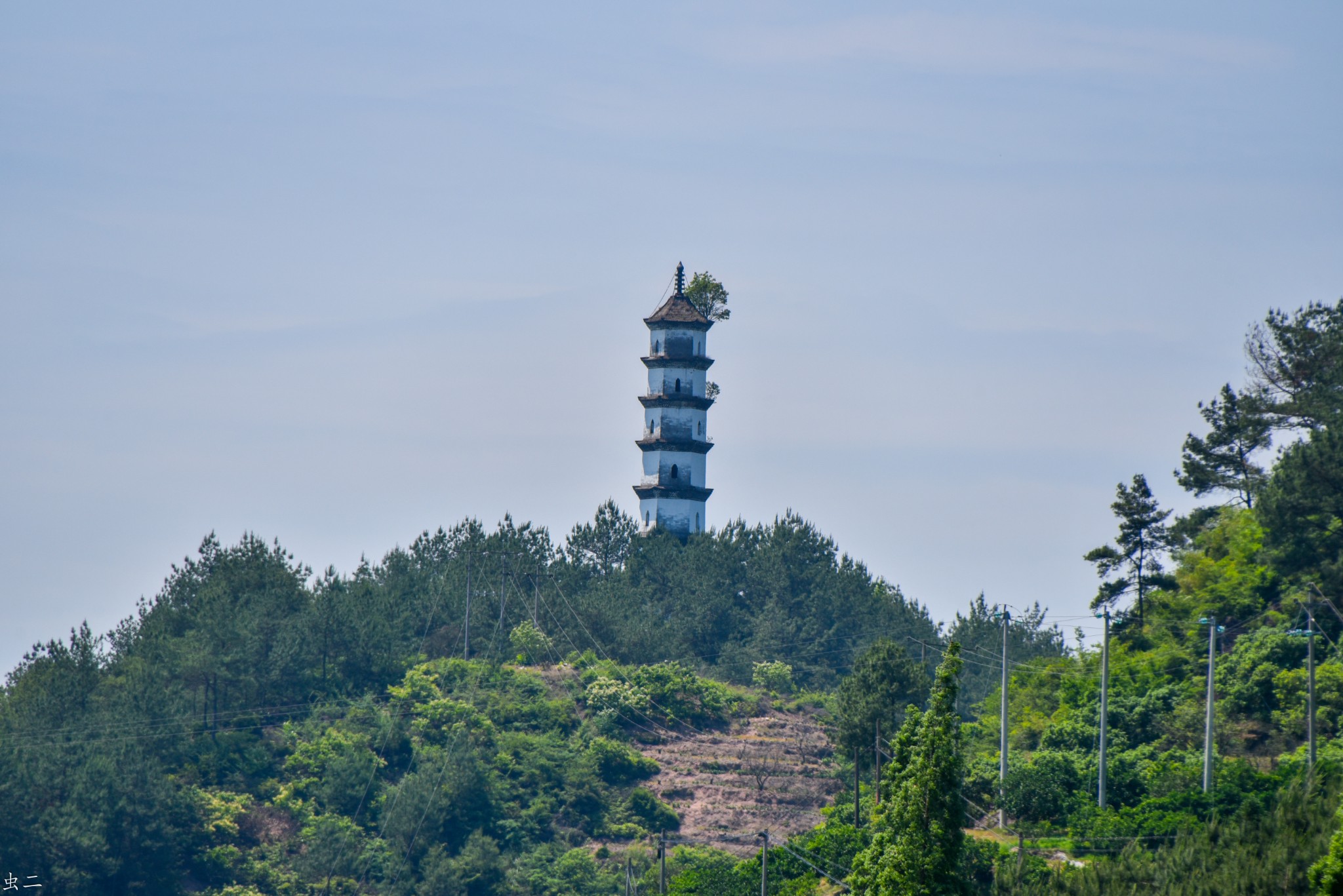 松阳 青云塔 县保 古塔巡礼系列之444 青蒙塔