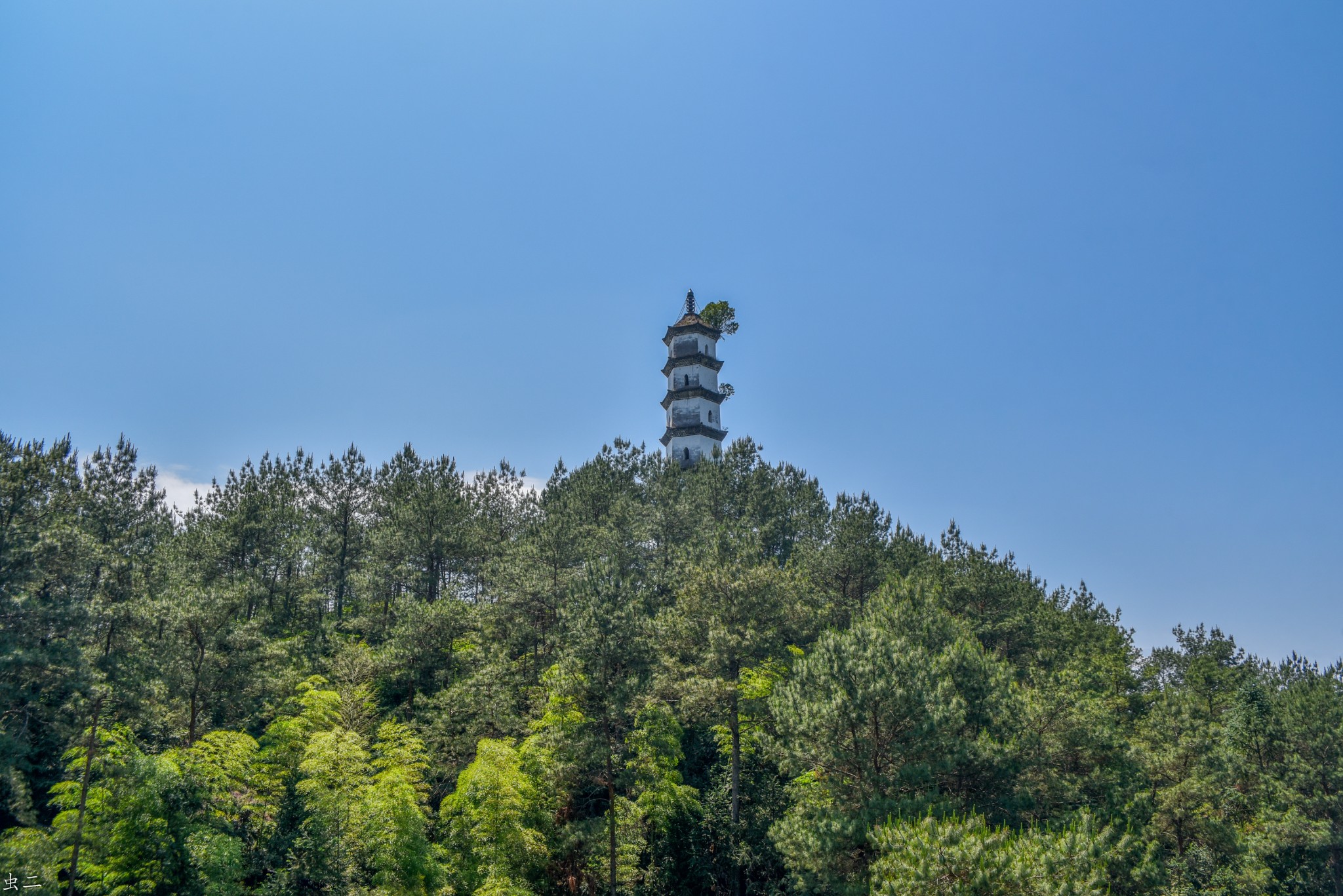 松阳 青云塔 县保 古塔巡礼系列之444 青蒙塔