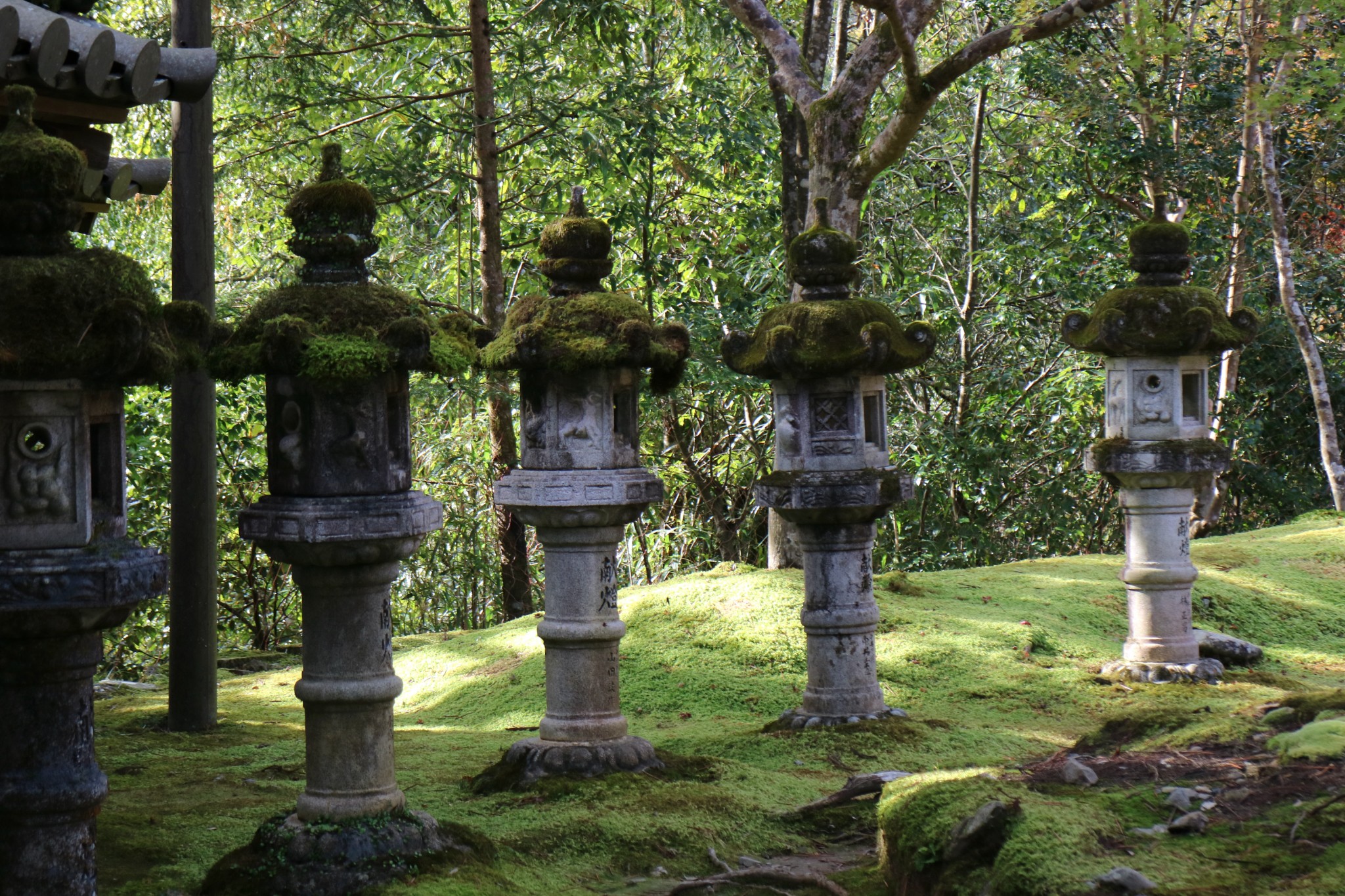 京都自助遊攻略