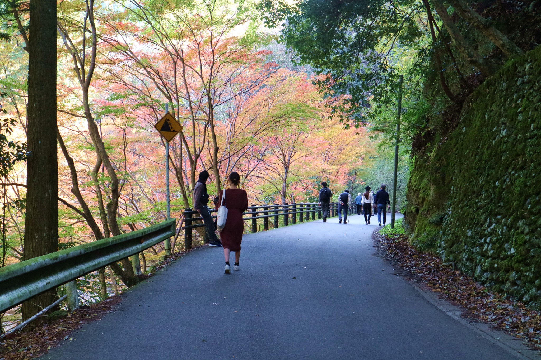 京都自助遊攻略