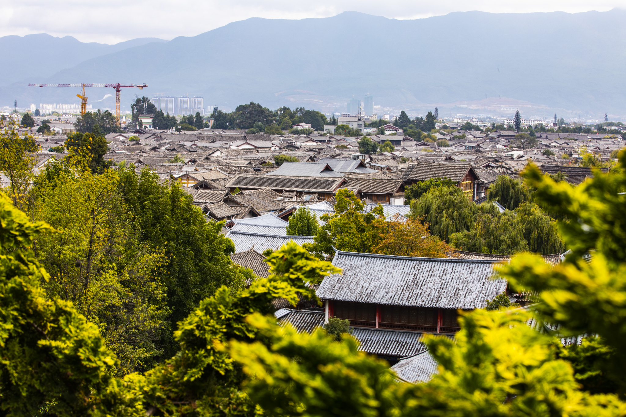 林芝自助遊攻略