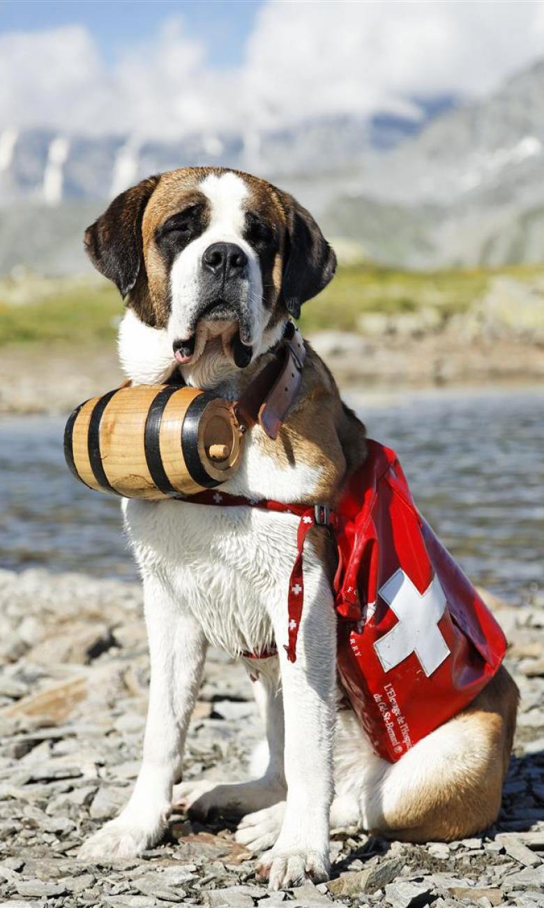 瑞士自助游攻略 - 马蜂窝