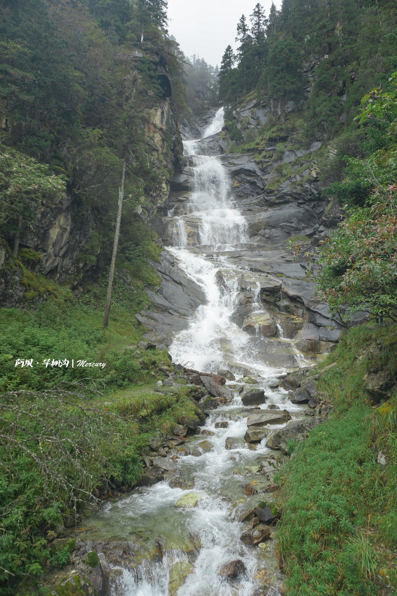 毕棚沟风景区