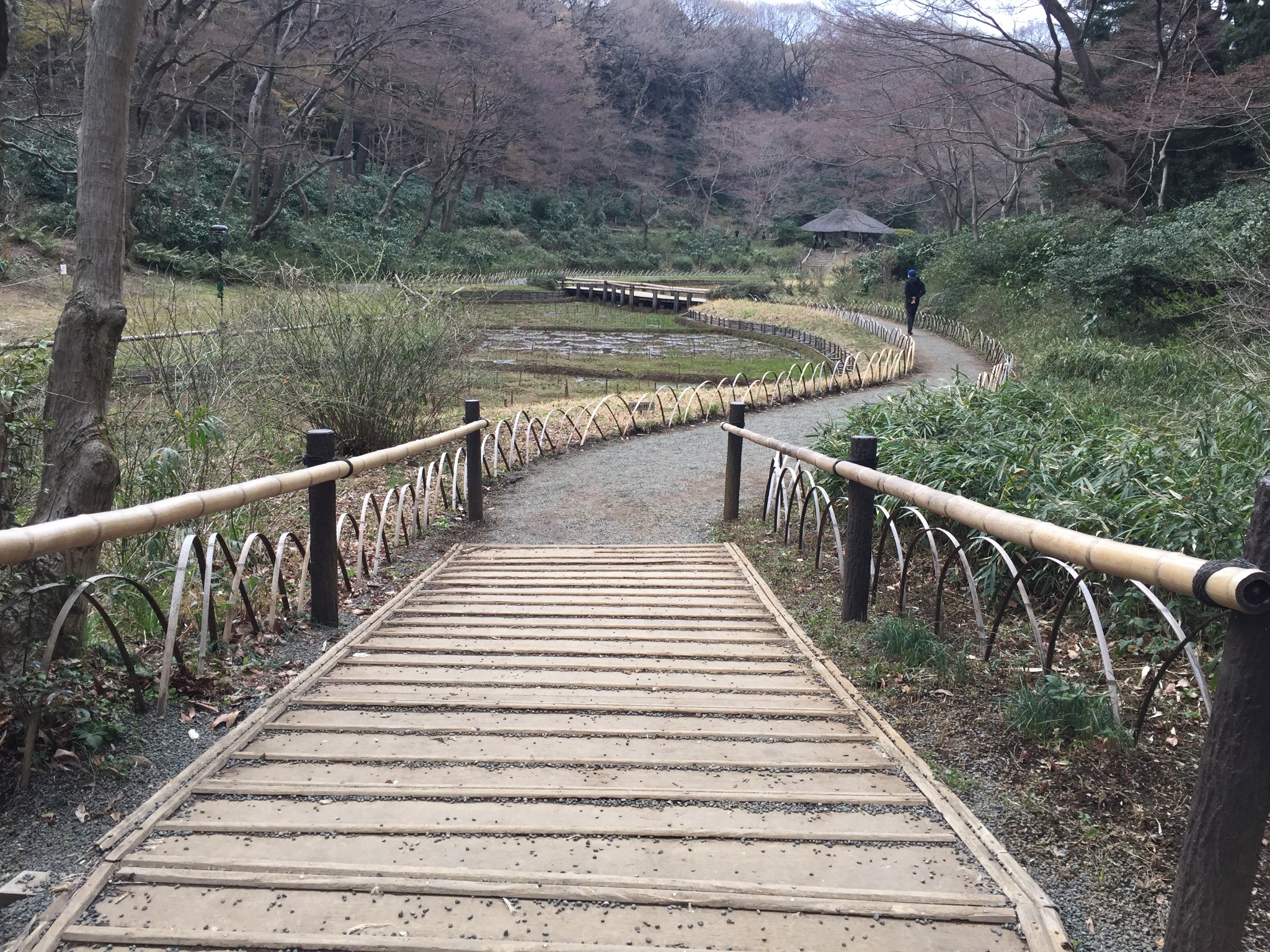 東京自助遊攻略