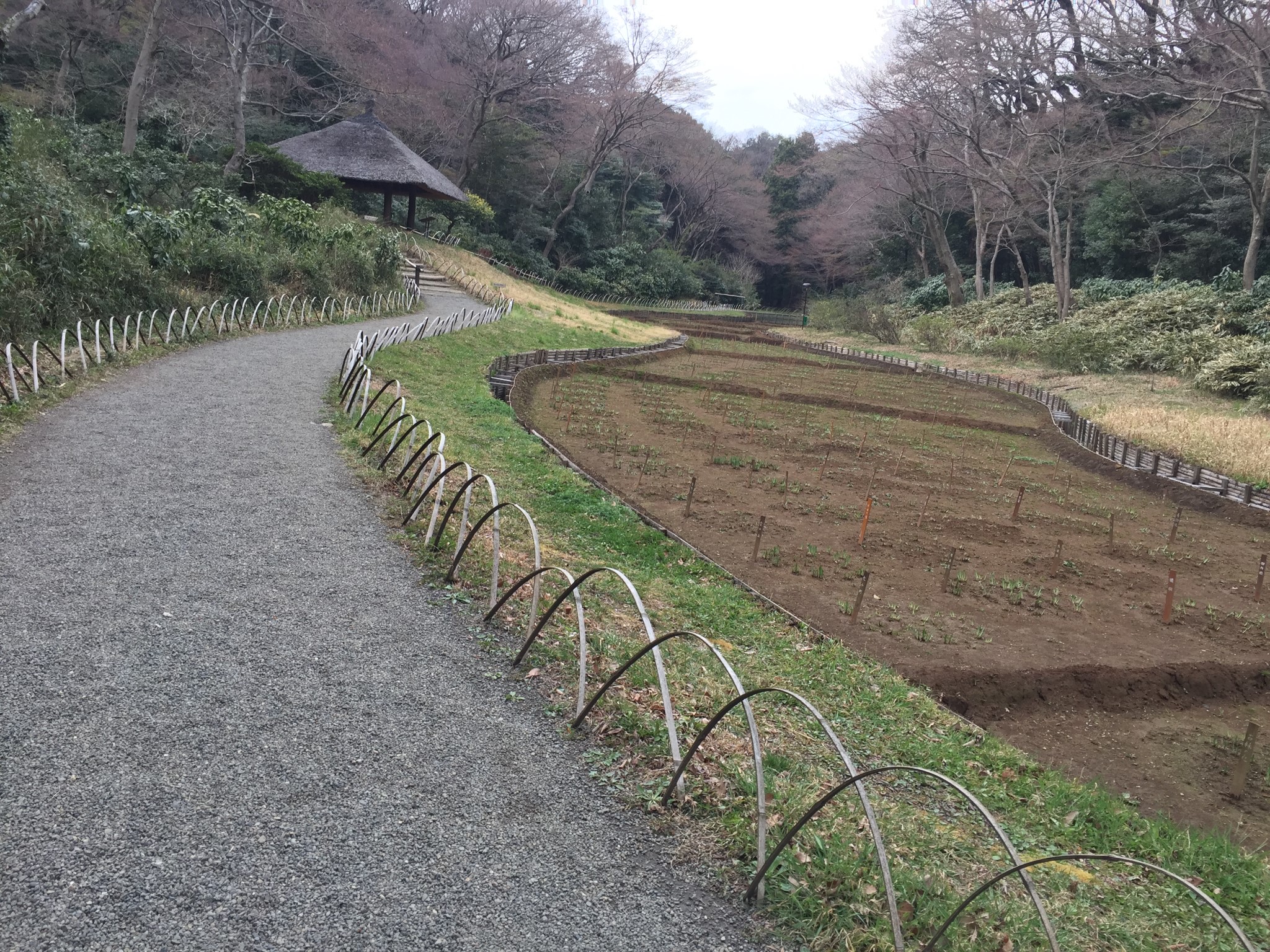 東京自助遊攻略