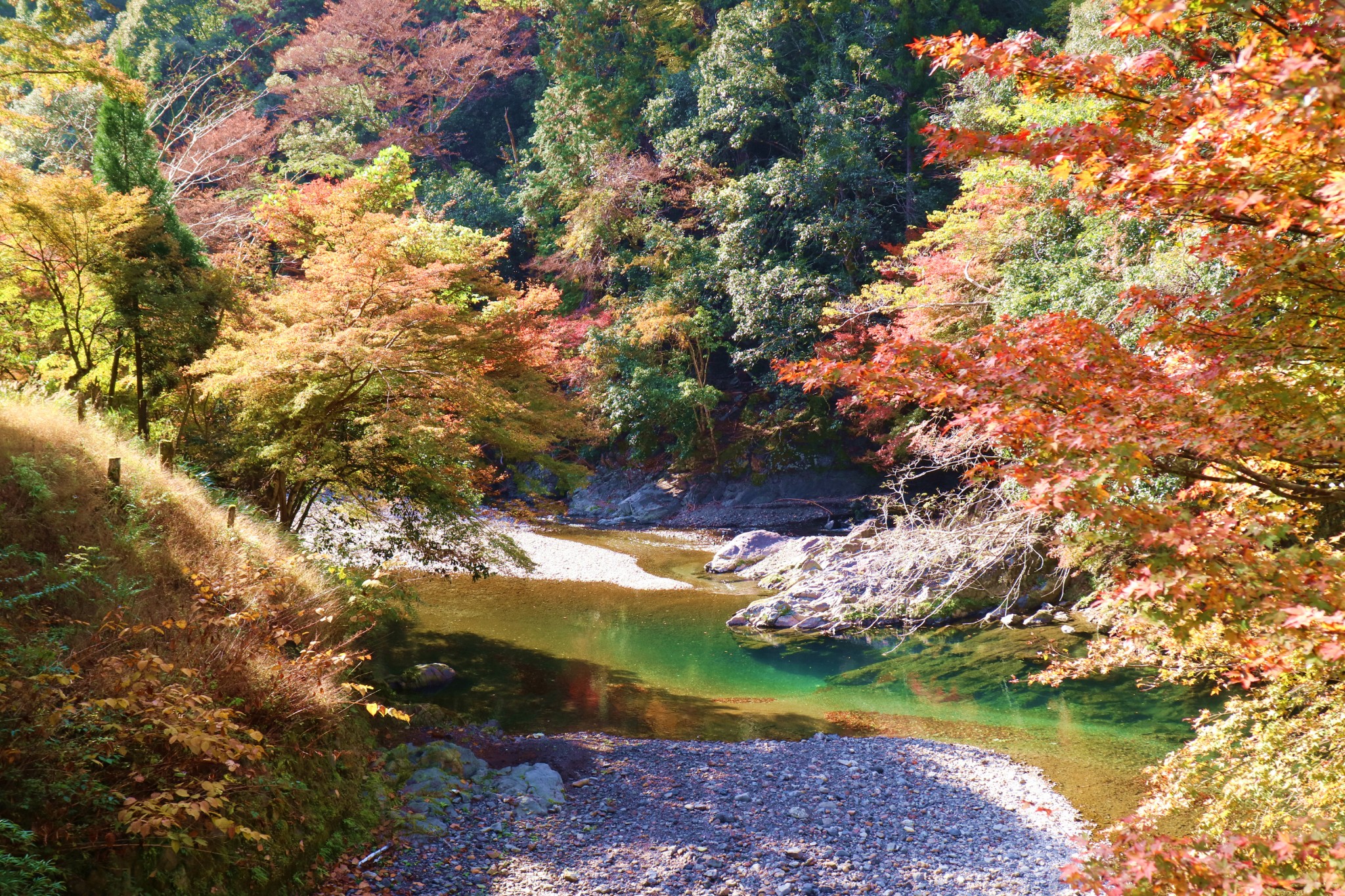 京都自助遊攻略