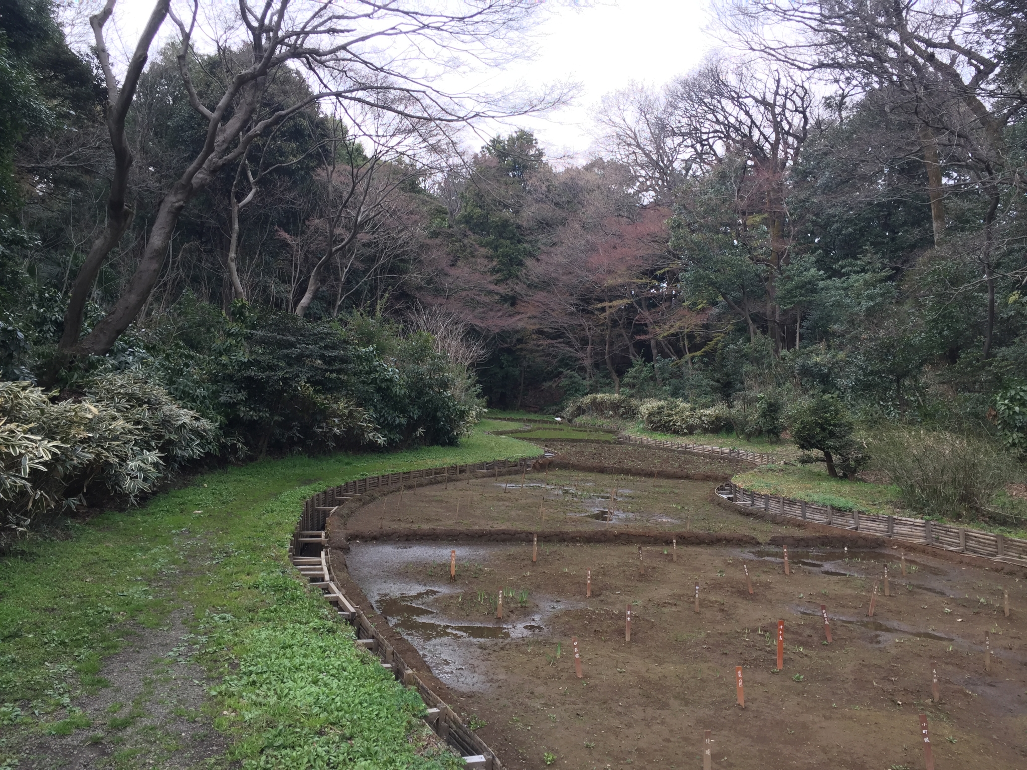 東京自助遊攻略