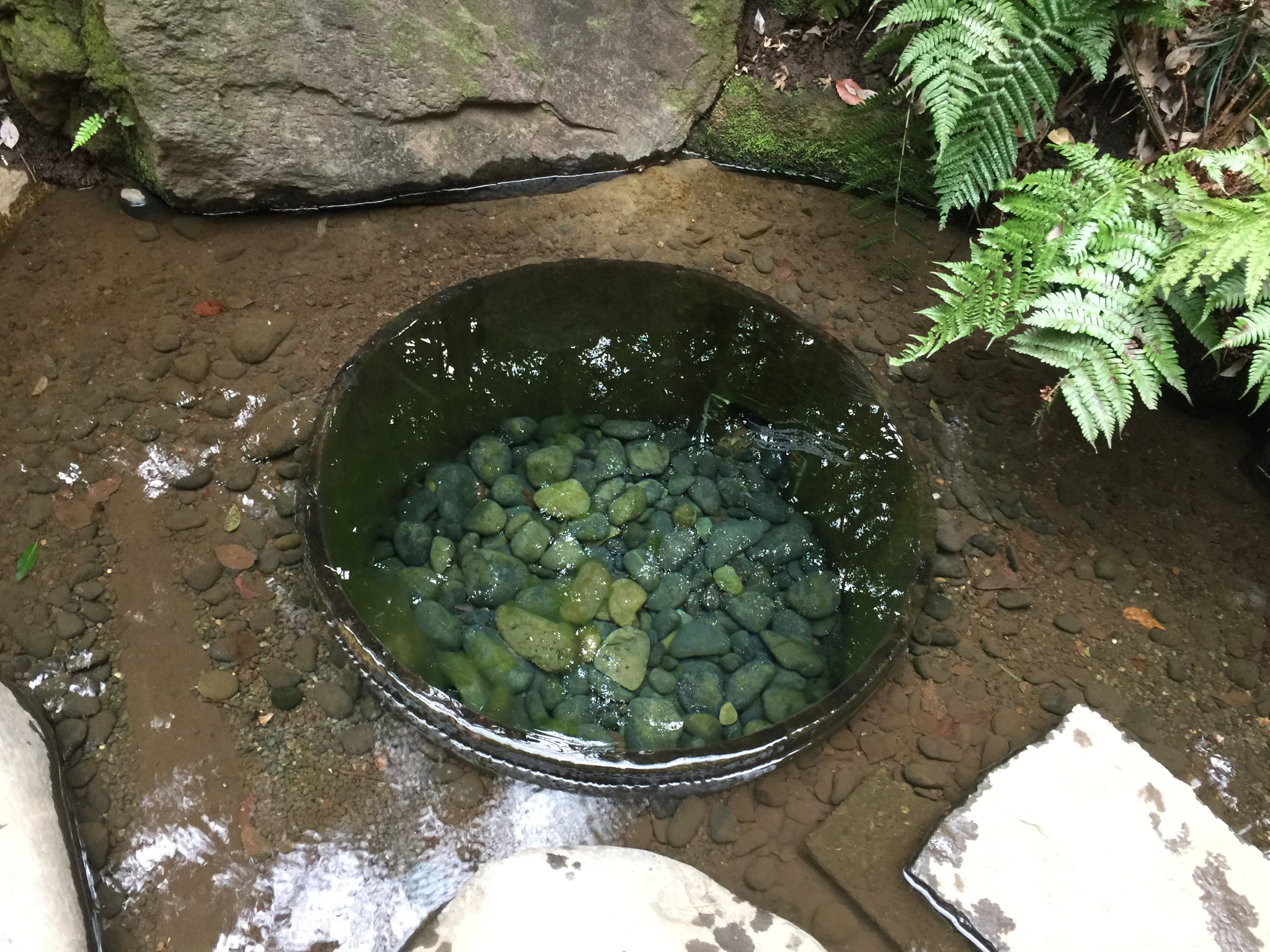 東京自助遊攻略