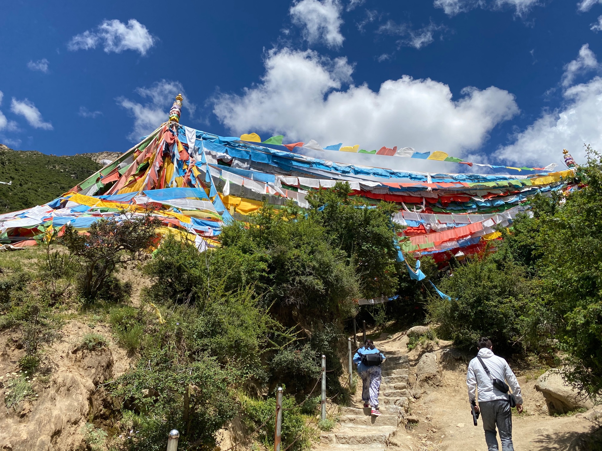 青朴修行地青朴修行地青朴修行地青朴修行地青朴修行地青朴修行地青朴