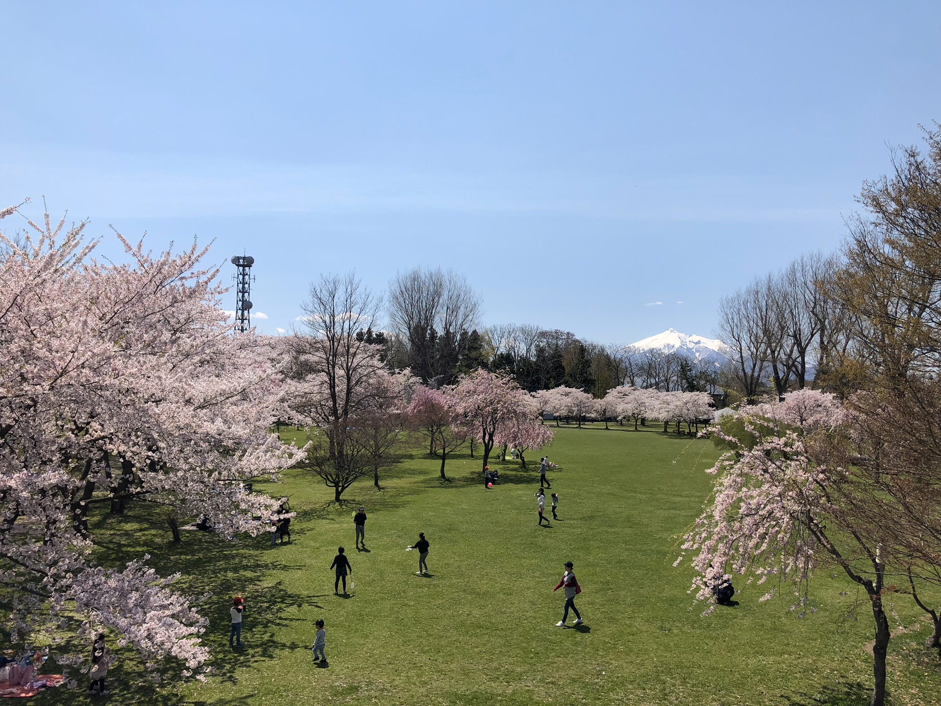 青森縣自助遊攻略