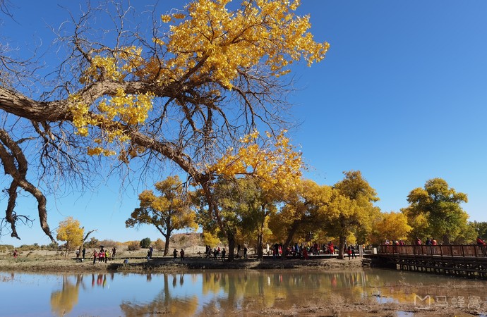 三道桥旅游图片,三道桥自助游图片,三道桥旅游景点照片 - 马蜂窝图库