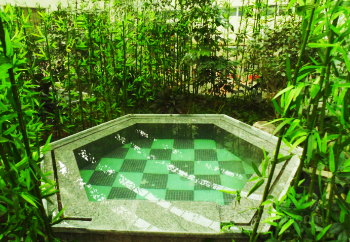 辉县天乙温泉电子成人票