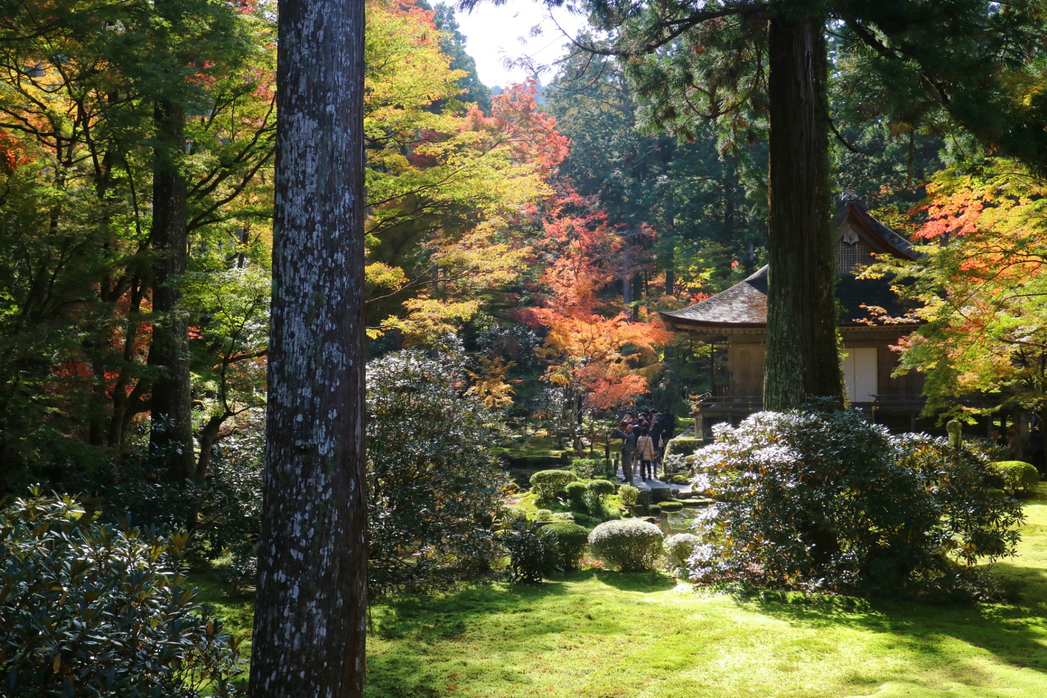 京都自助遊攻略