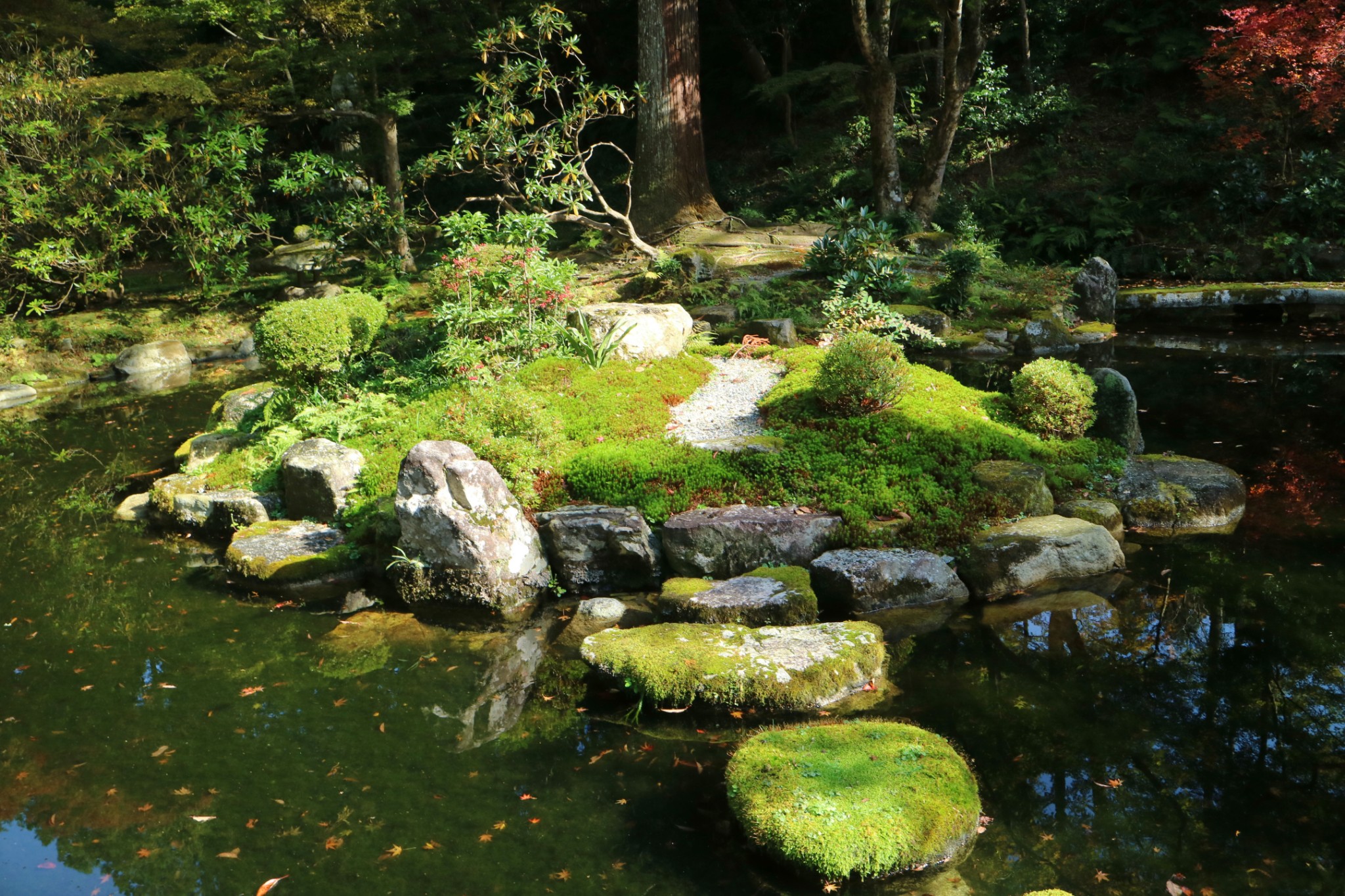 京都自助遊攻略