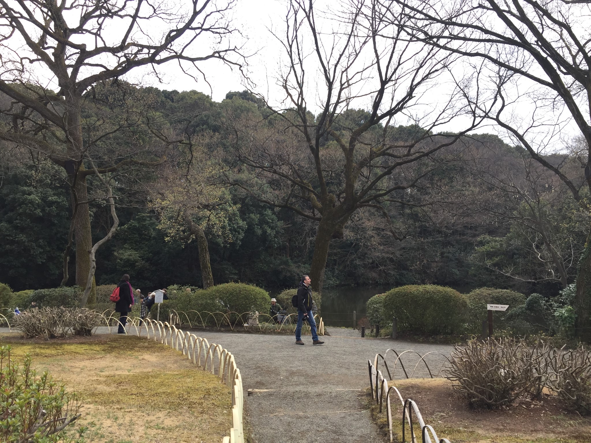 東京自助遊攻略