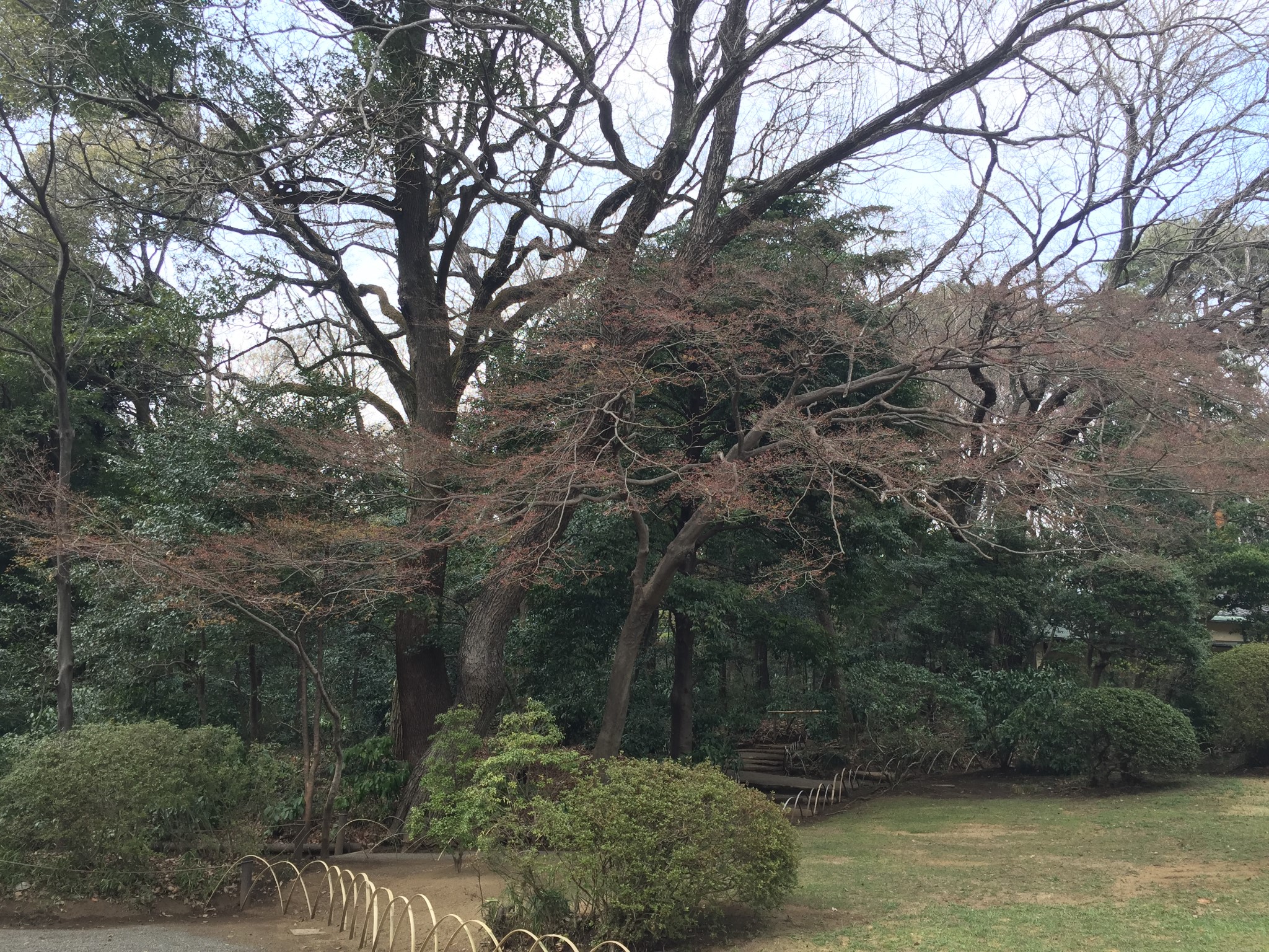 東京自助遊攻略