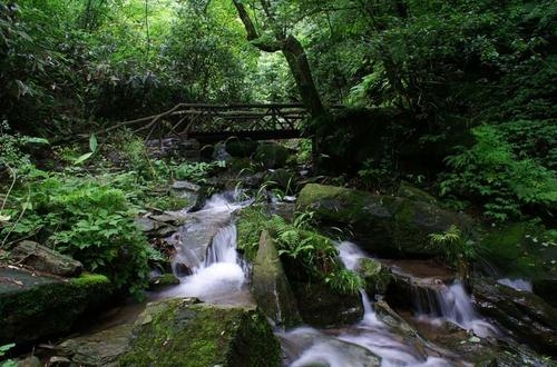 咸豐61坪壩營原始生態旅遊區(4a)|感受鄂西原生態之美_遊記